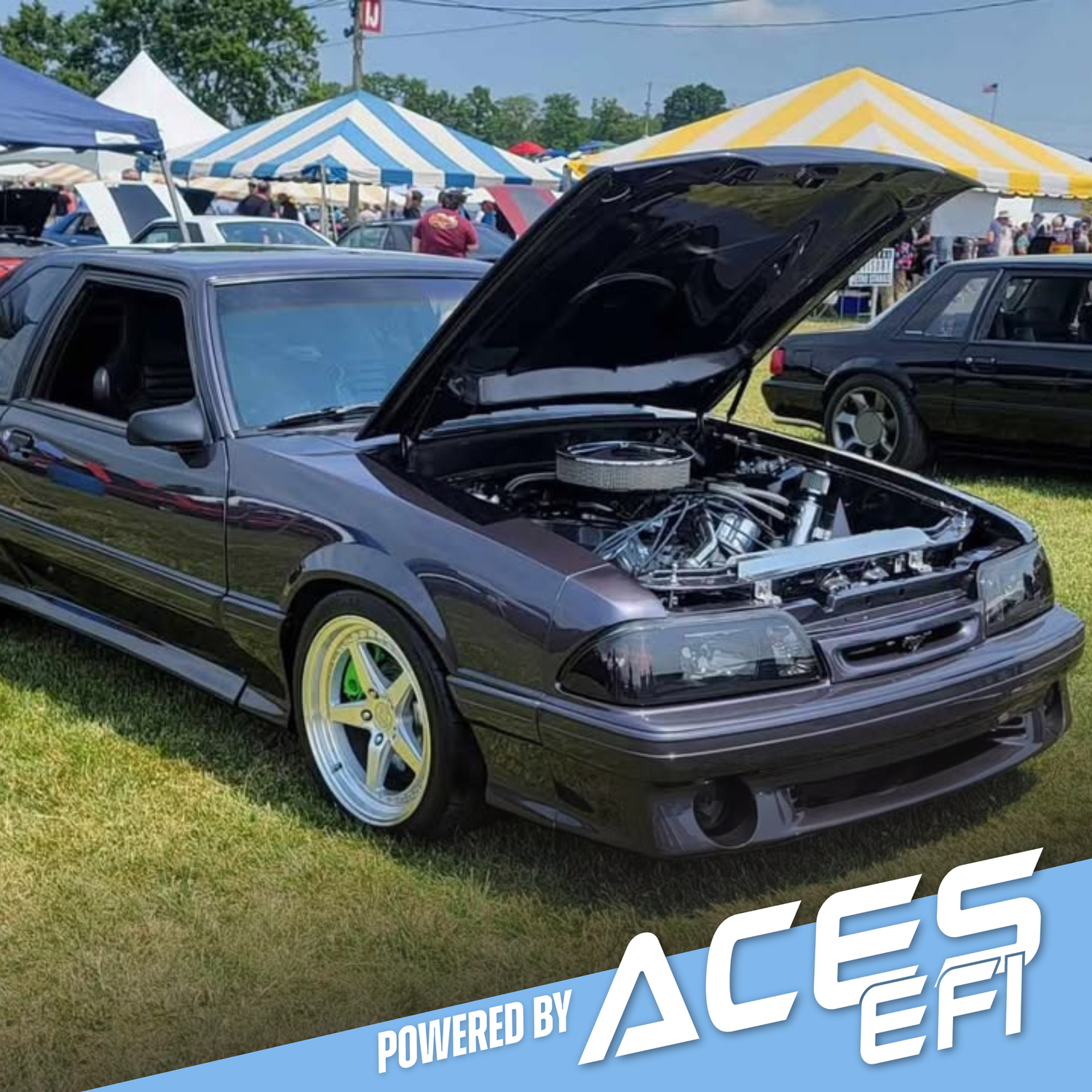 Royal Flush on a Fox Body