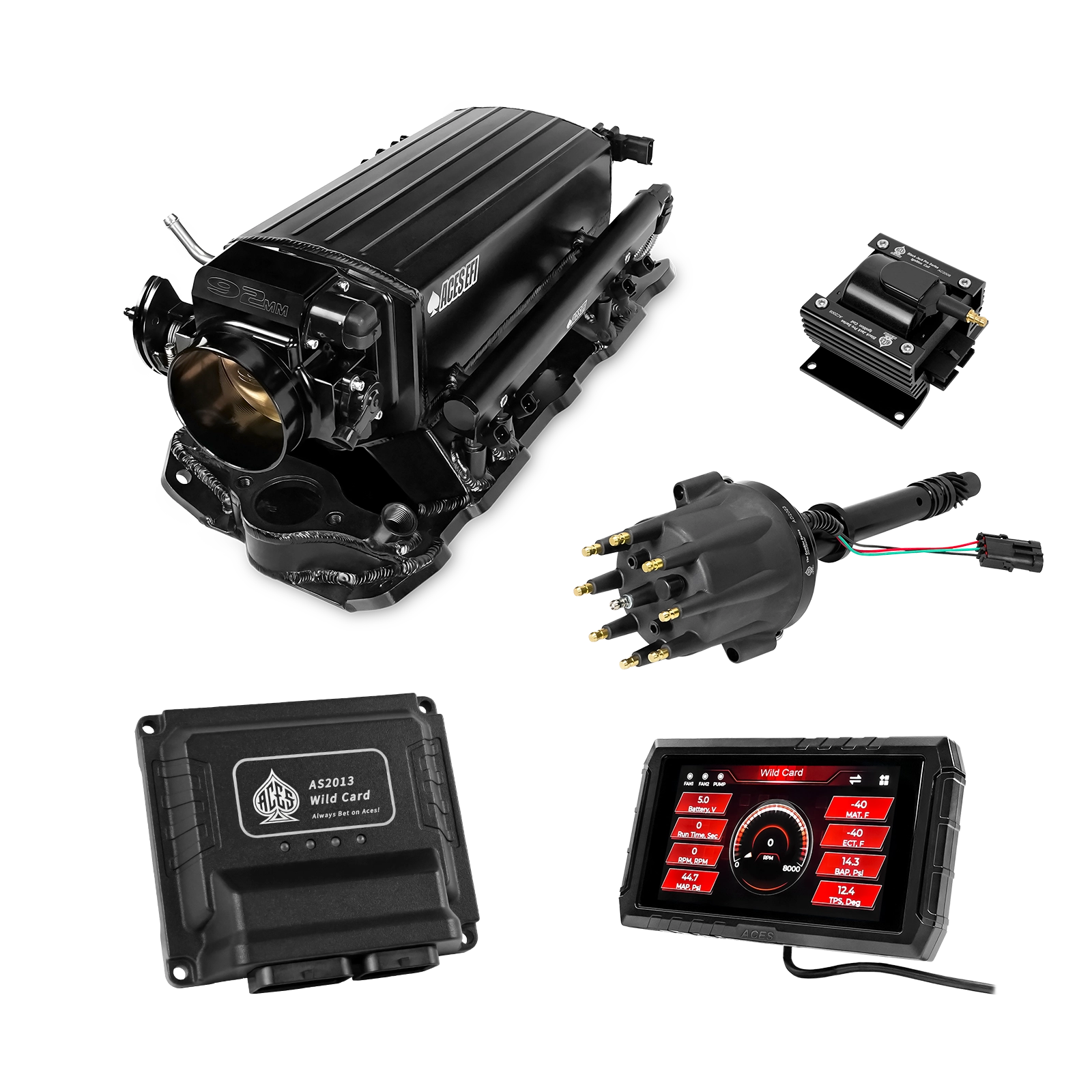 Wild Card EFI - Top End Kits