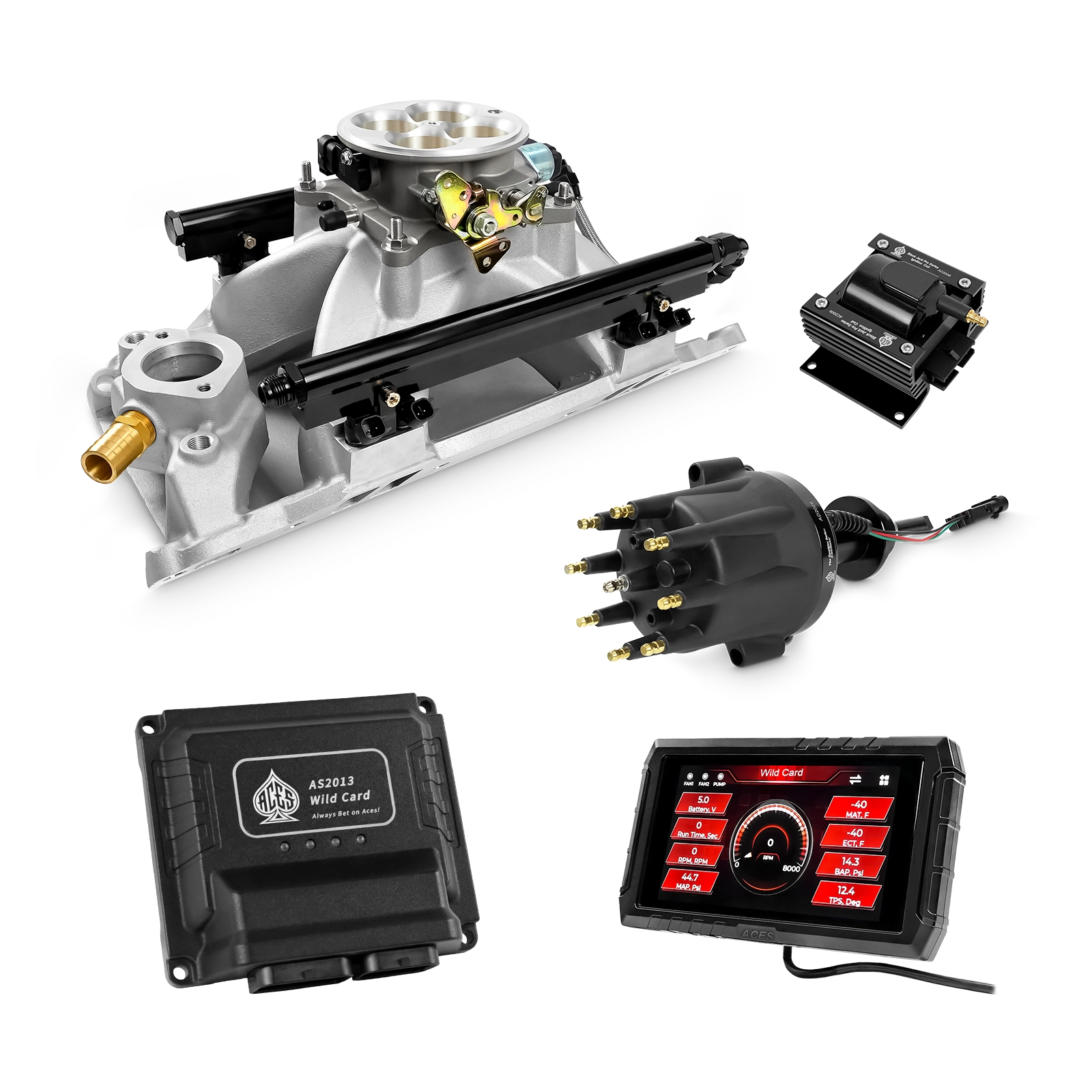 Wild Card EFI - Top End Kits