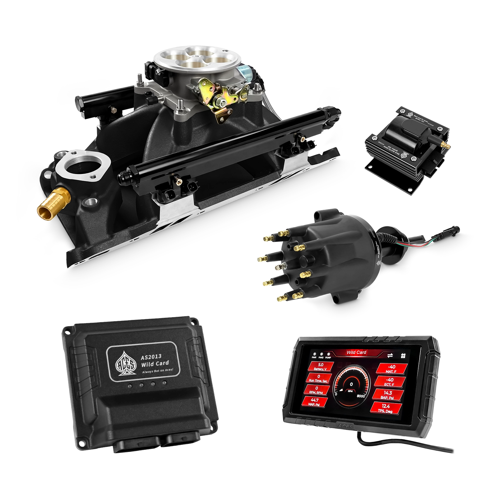 Wild Card EFI - Top End Kits