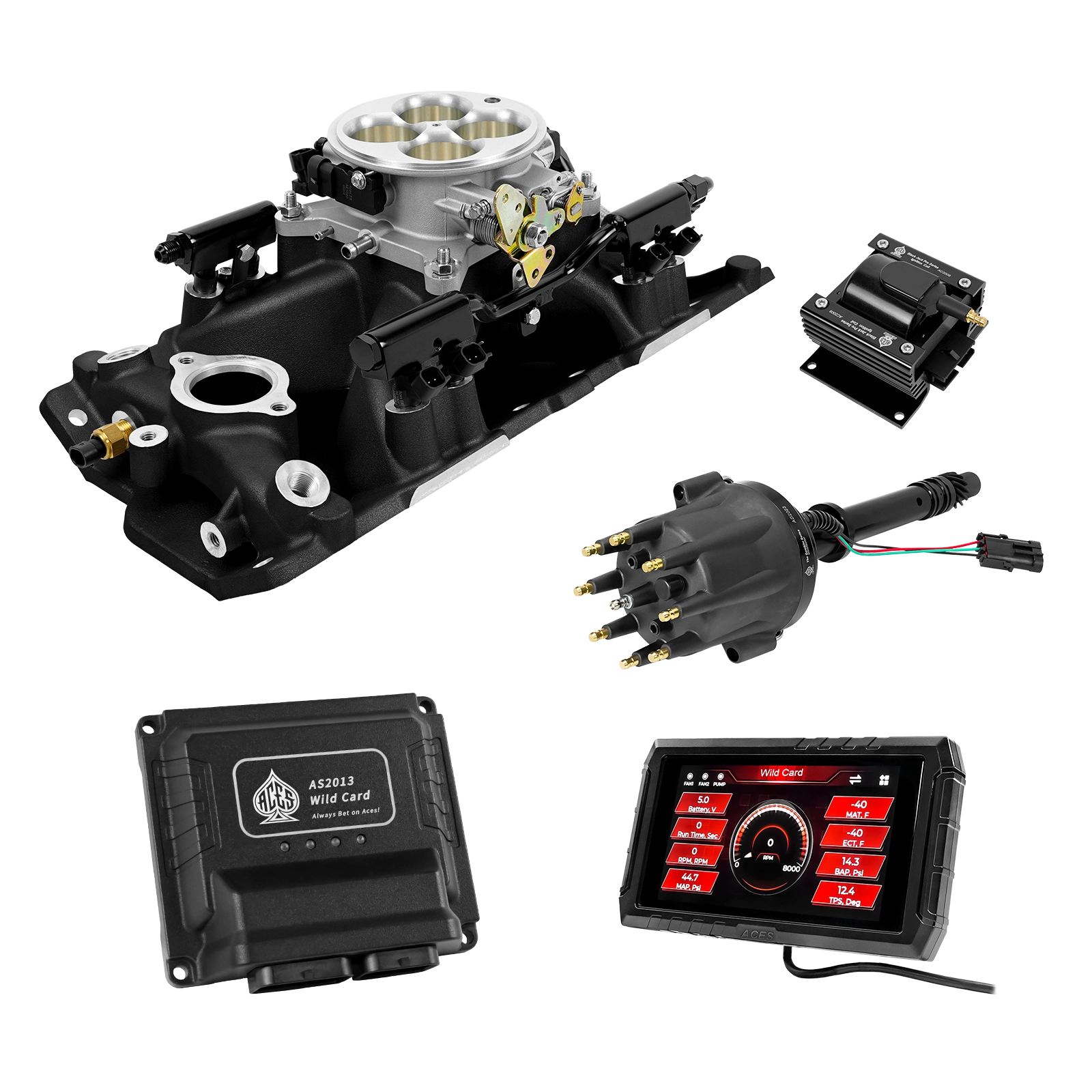 Wild Card EFI - Top End Kits