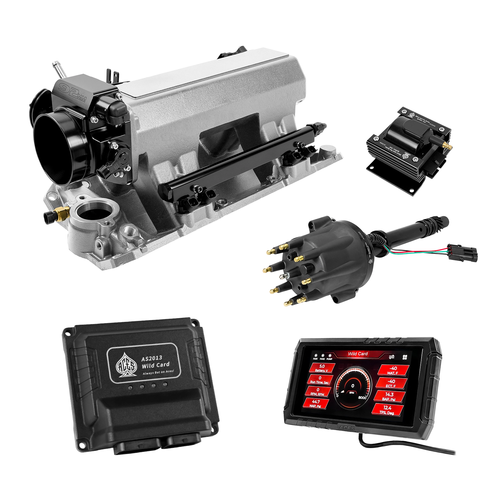 Wild Card EFI - Top End Kits