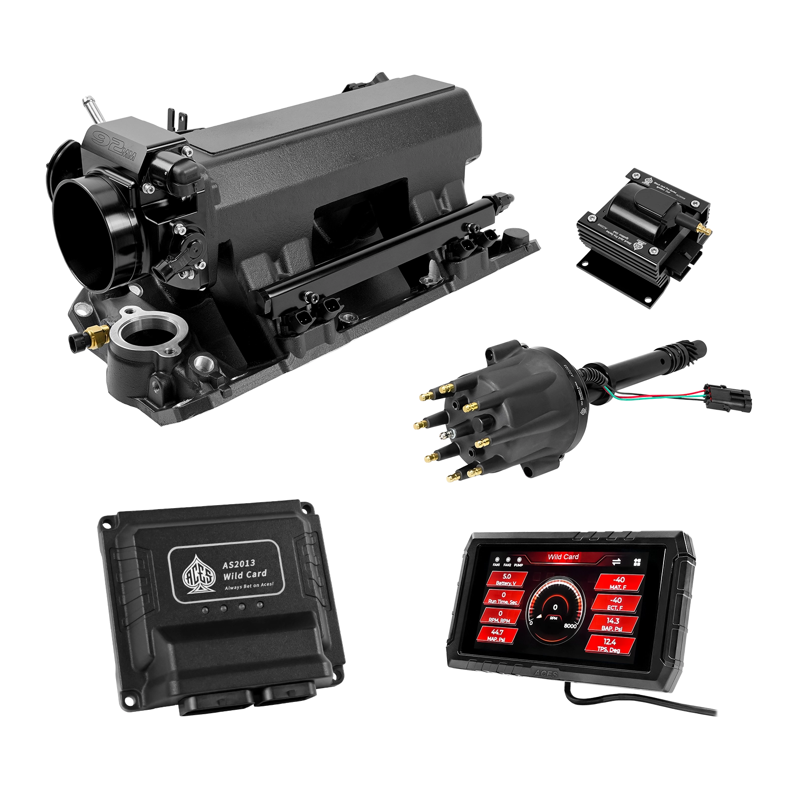 Wild Card EFI - Top End Kits
