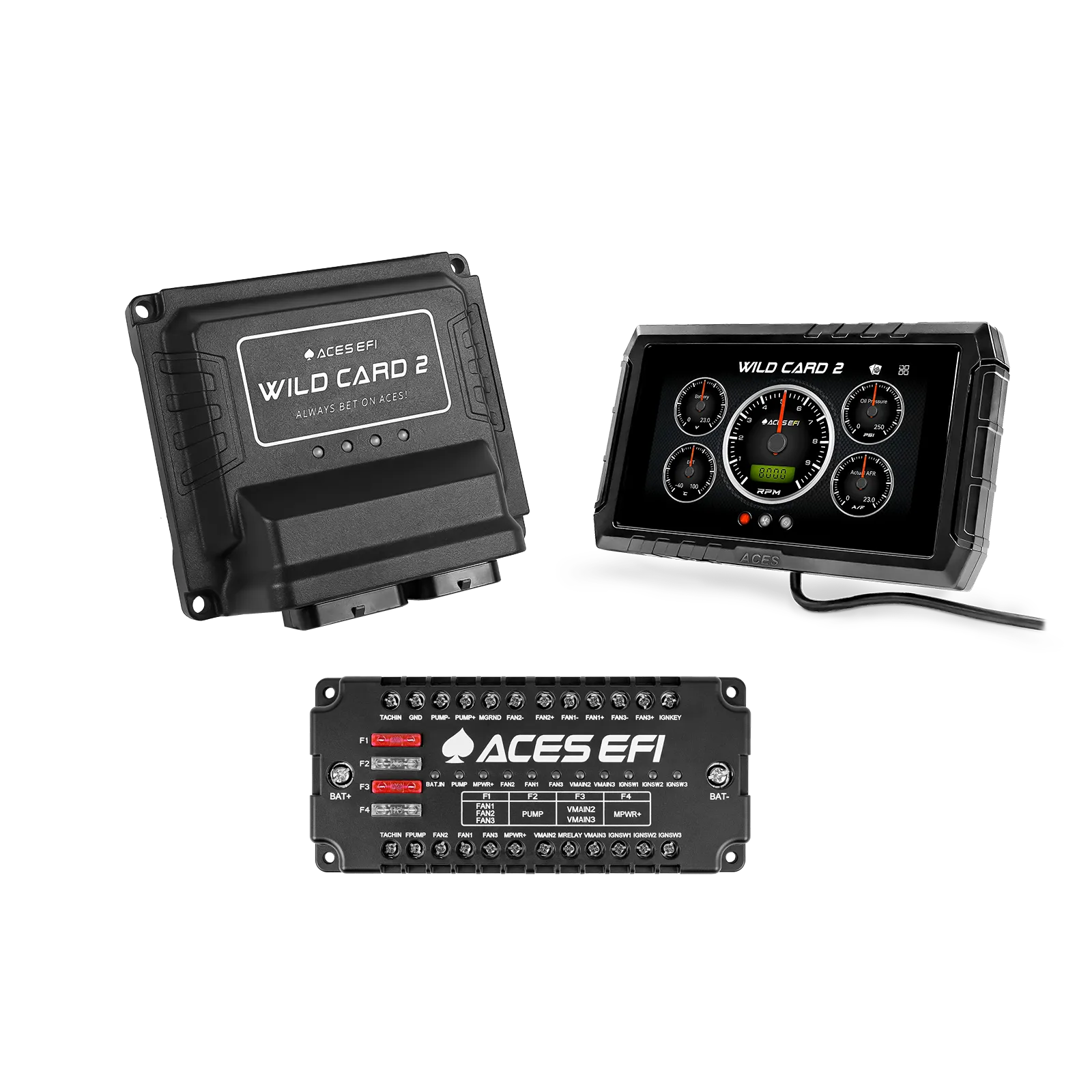 Wild Card 2 EFI (Standalone)