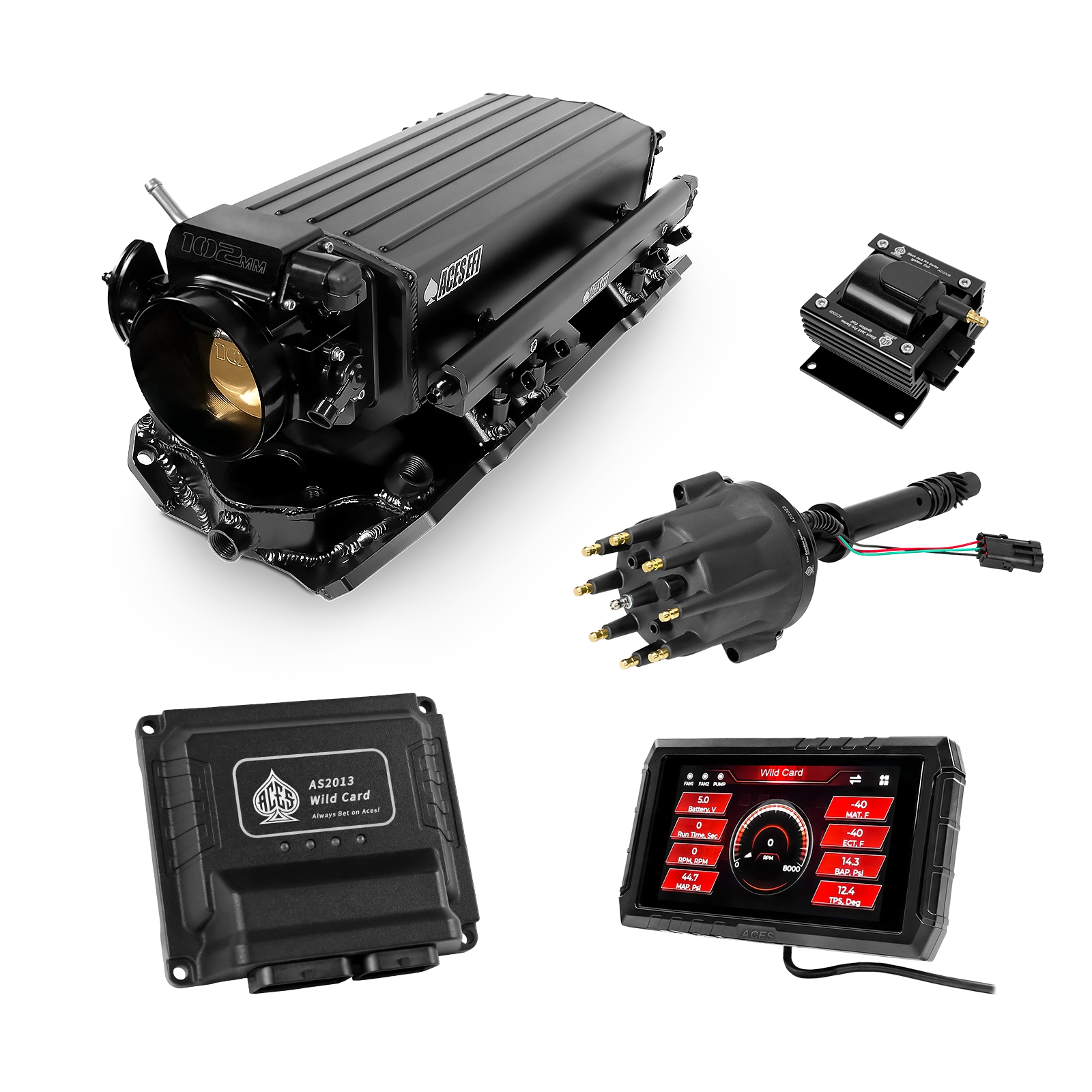 Wild Card EFI - Top End Kits