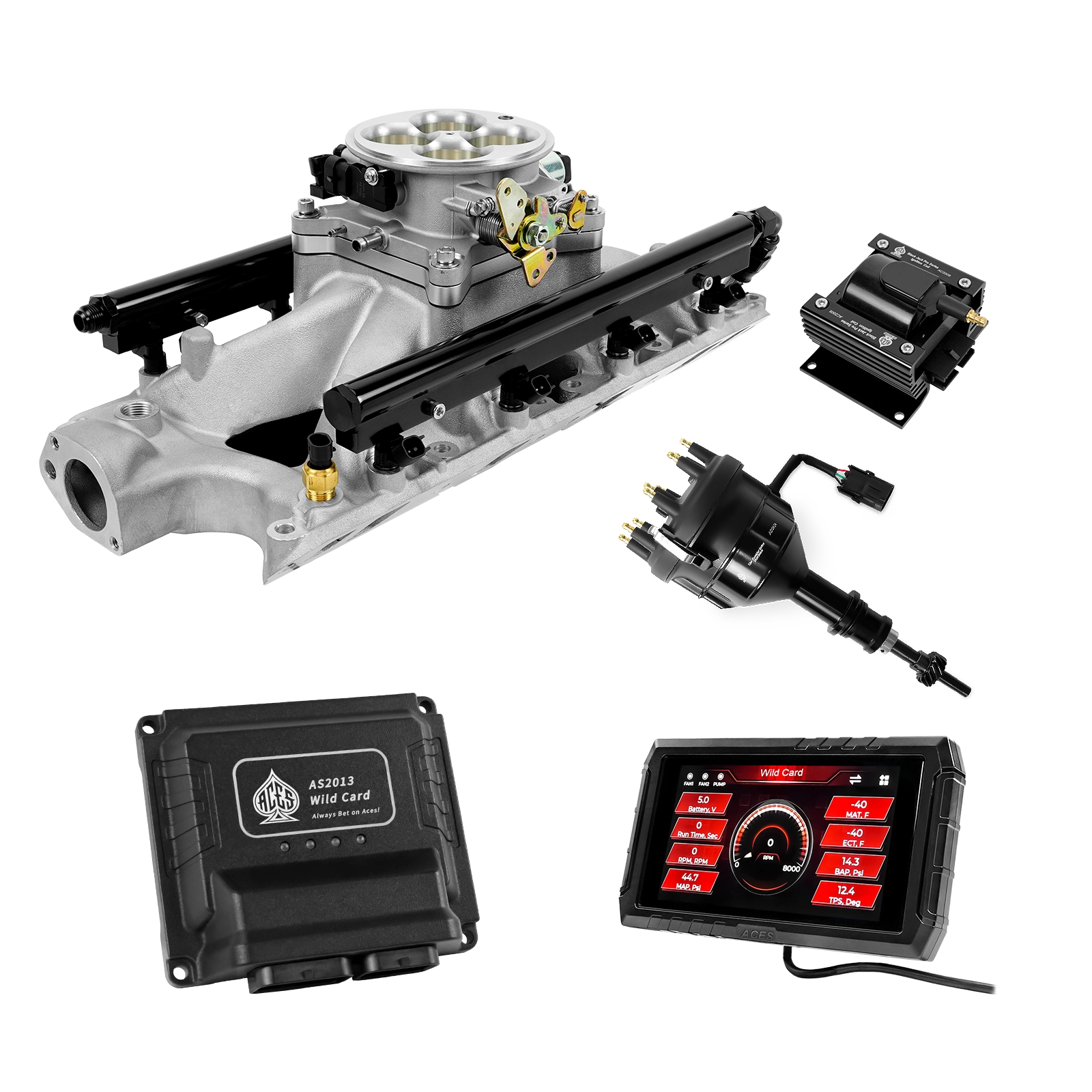 Wild Card EFI - Top End Kits