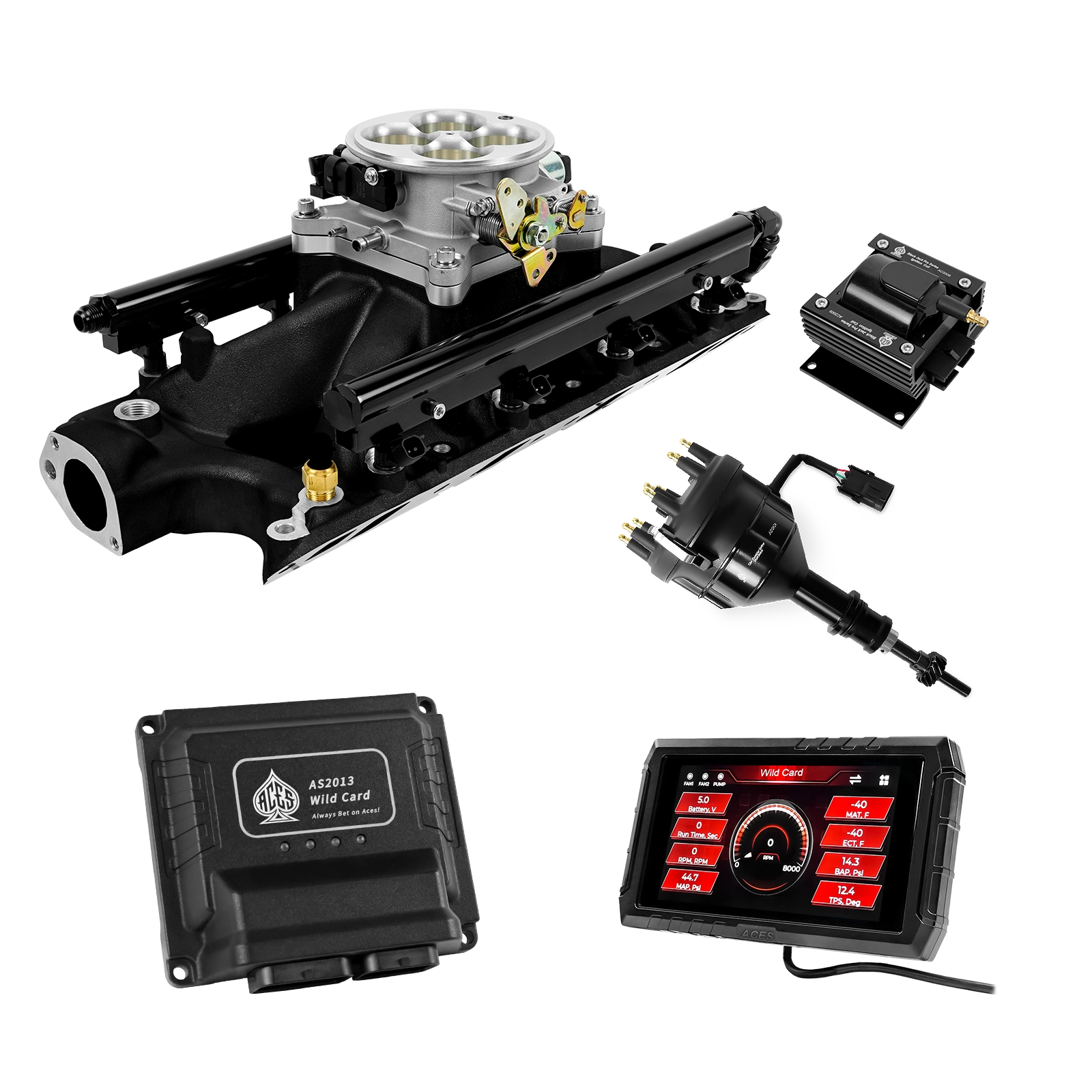 Wild Card EFI - Top End Kits