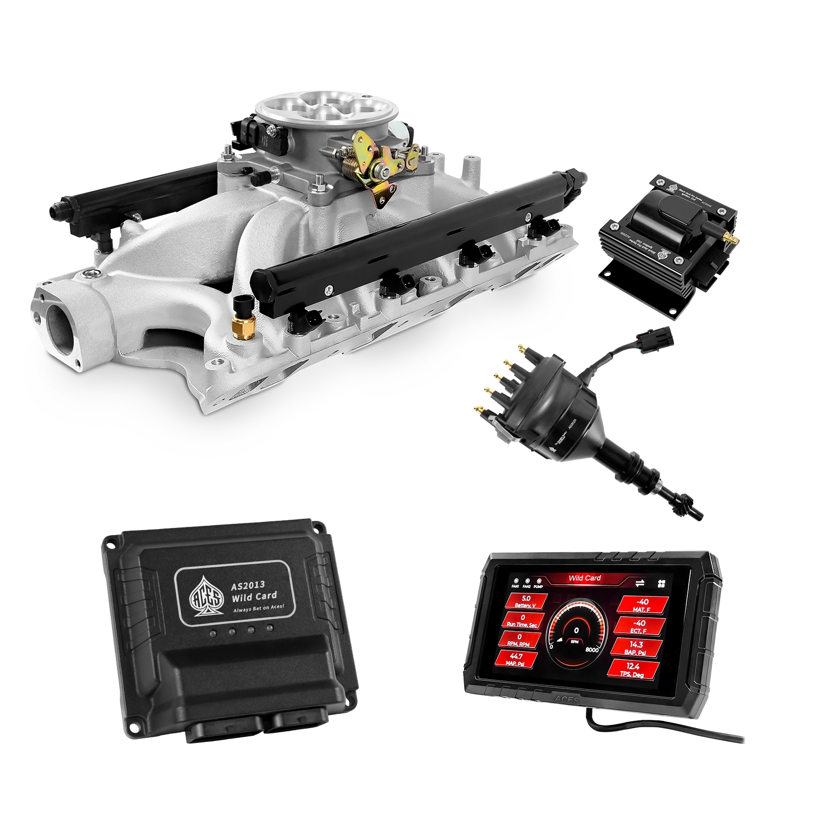 Wild Card EFI - Top End Kits