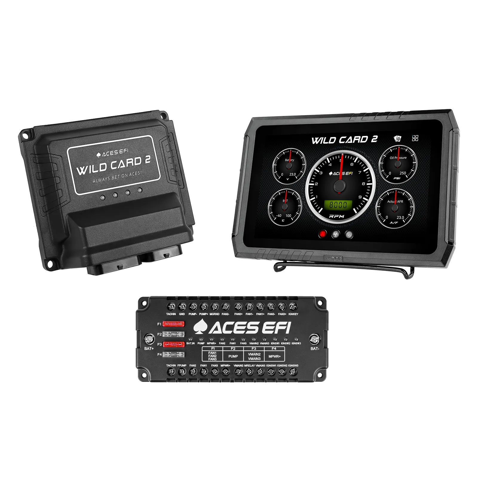 Wild Card 2 EFI (Standalone)