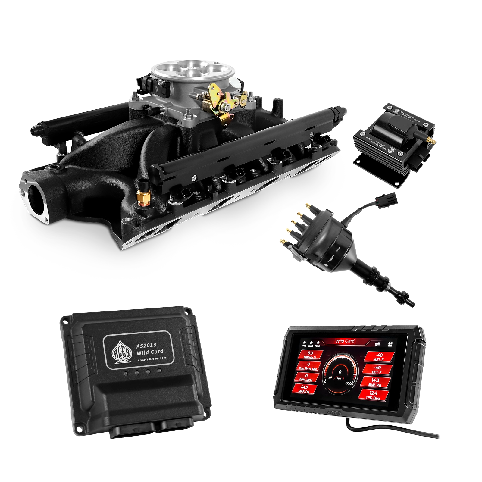 Wild Card EFI - Top End Kits