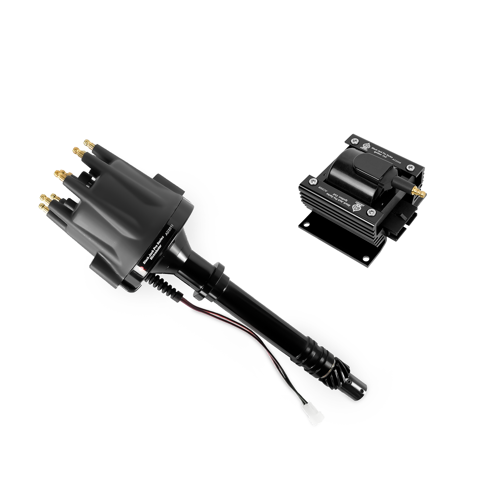 Black Jack Pro Distributor + Coil
