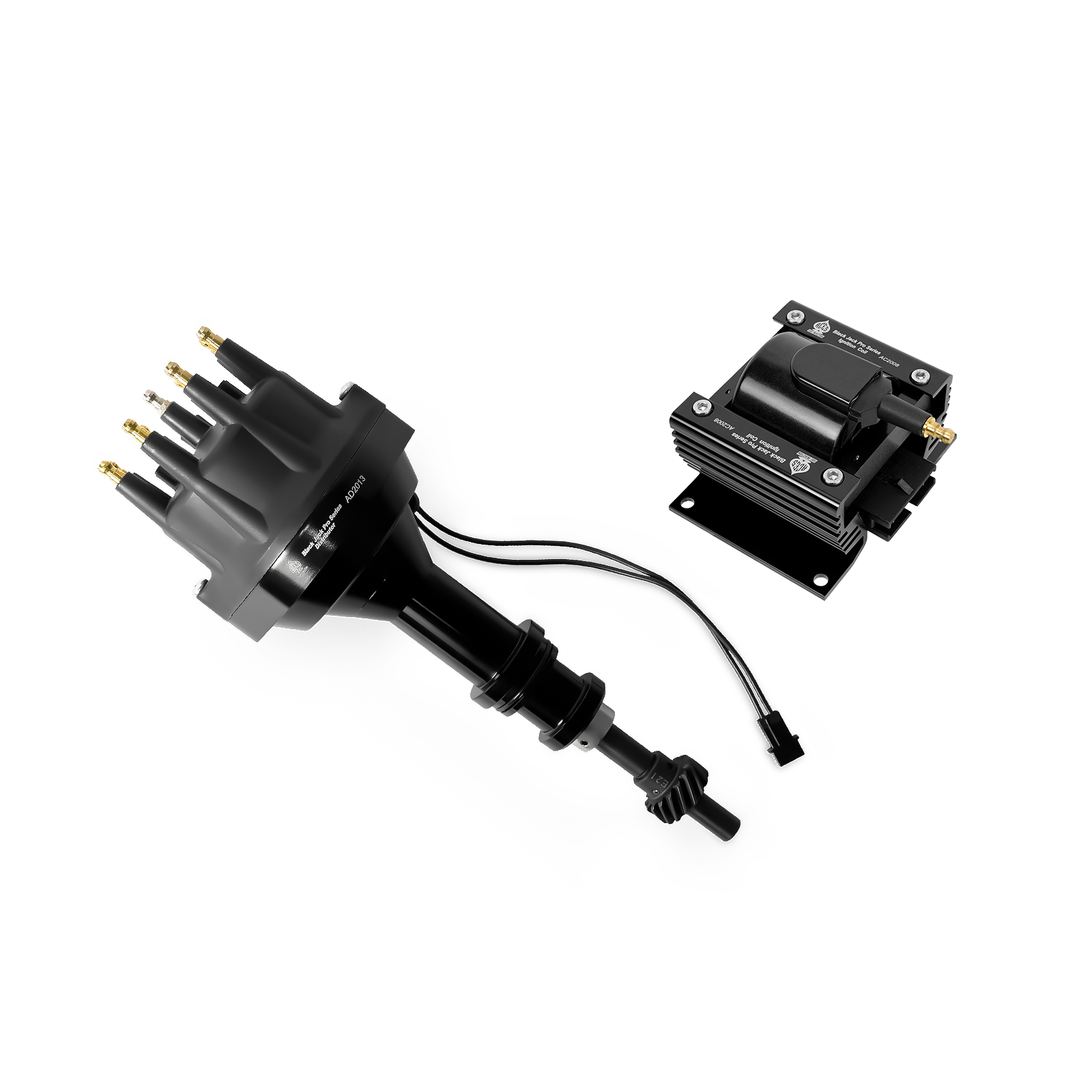 Black Jack Pro Distributor + Coil