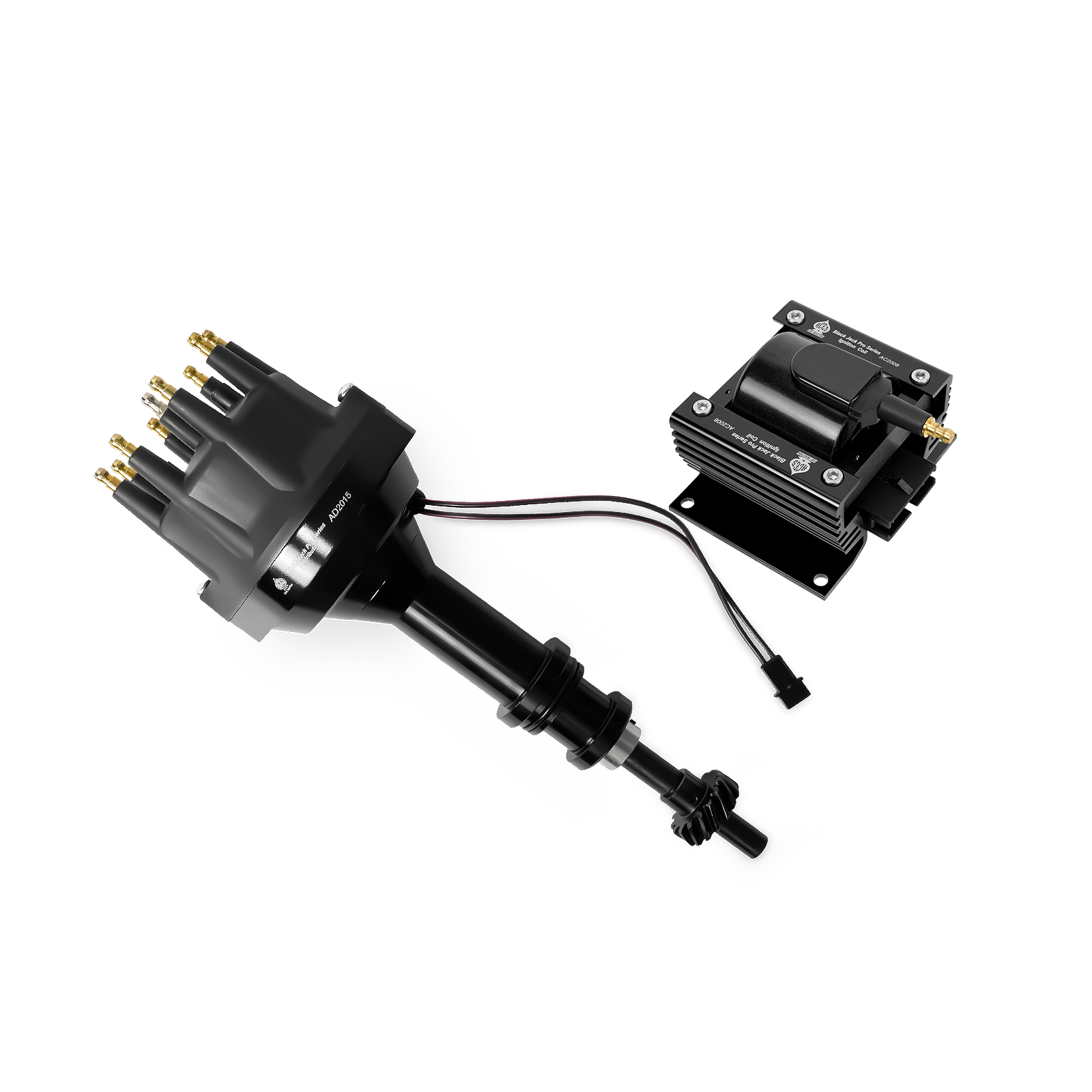 Black Jack Pro Distributor + Coil