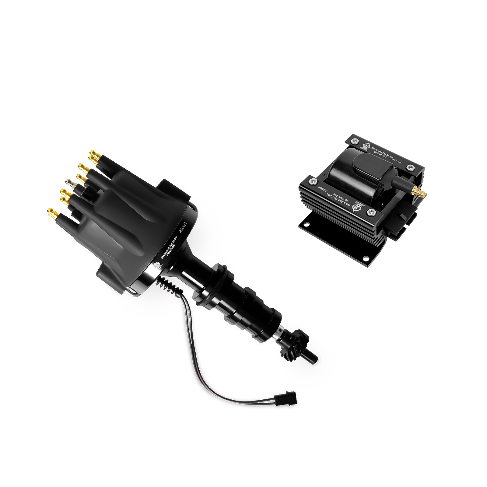 Black Jack Pro Distributor + Coil