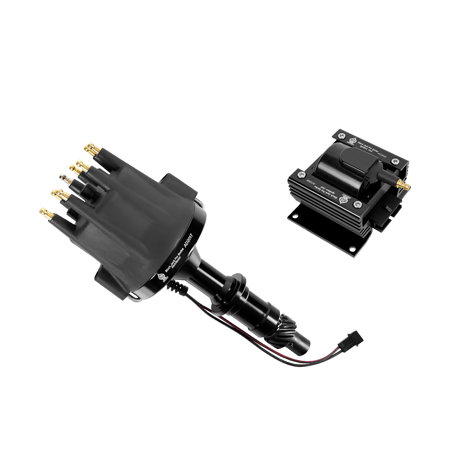 Black Jack Pro Distributor + Coil