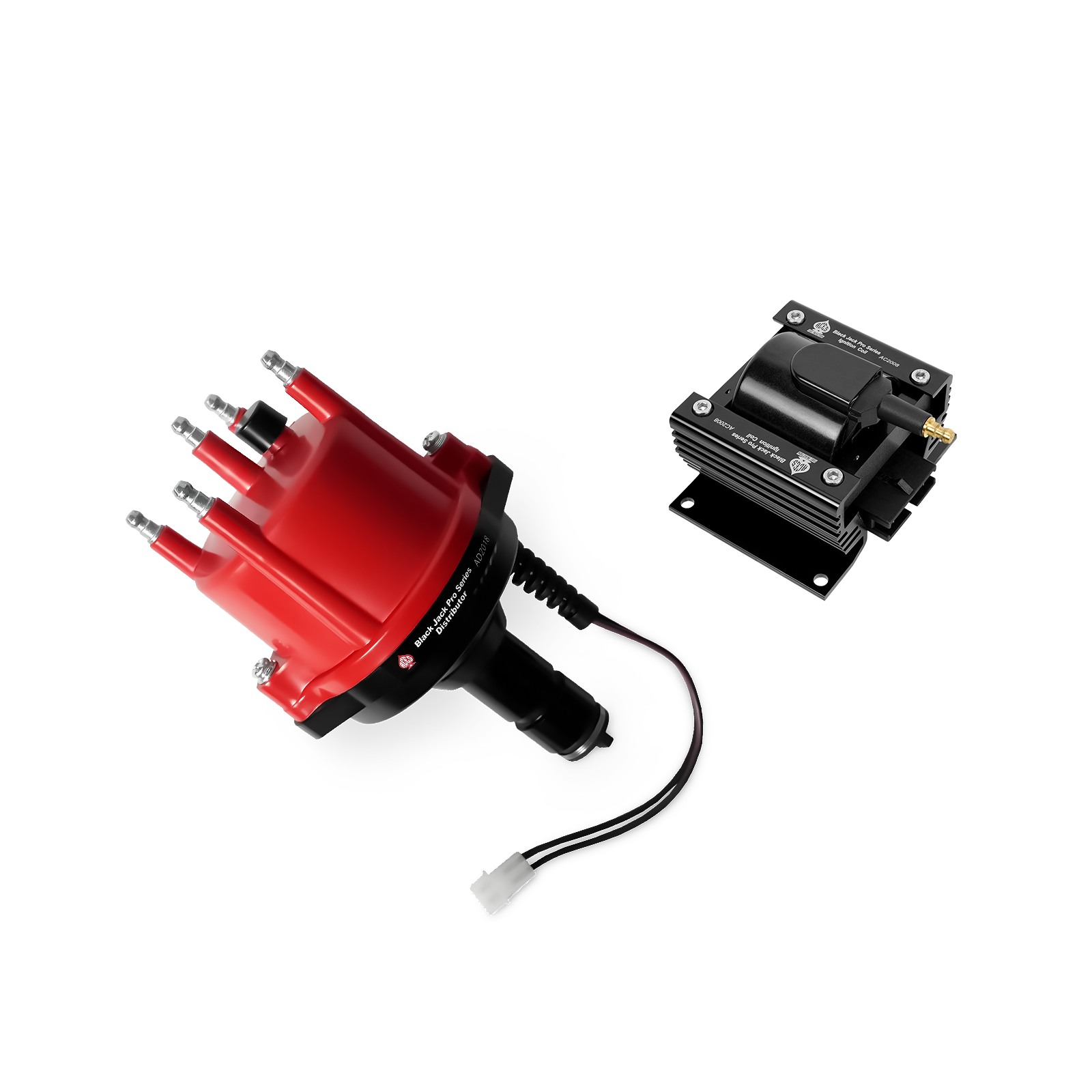 Black Jack Pro Distributor + Coil