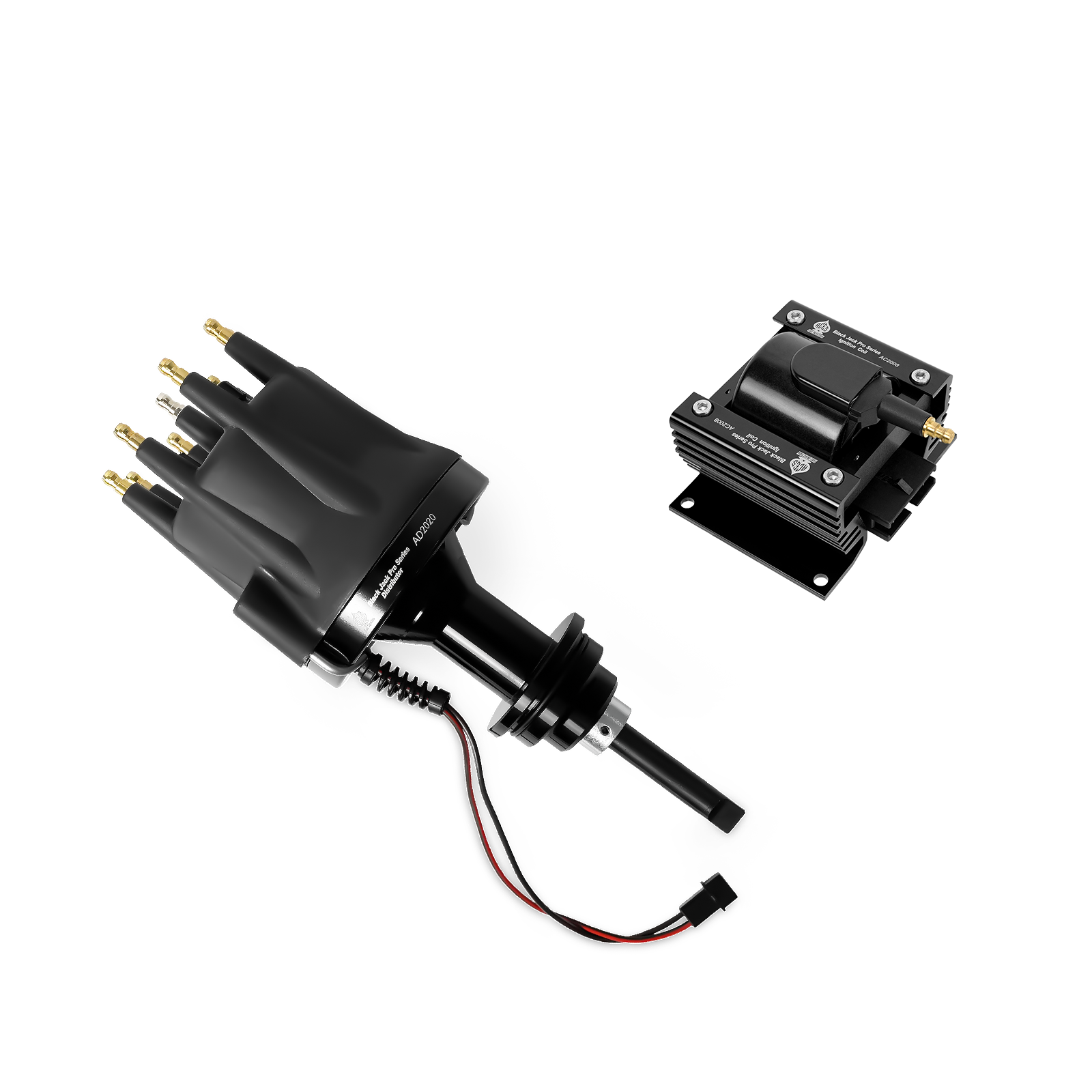 Black Jack Pro Distributor + Coil