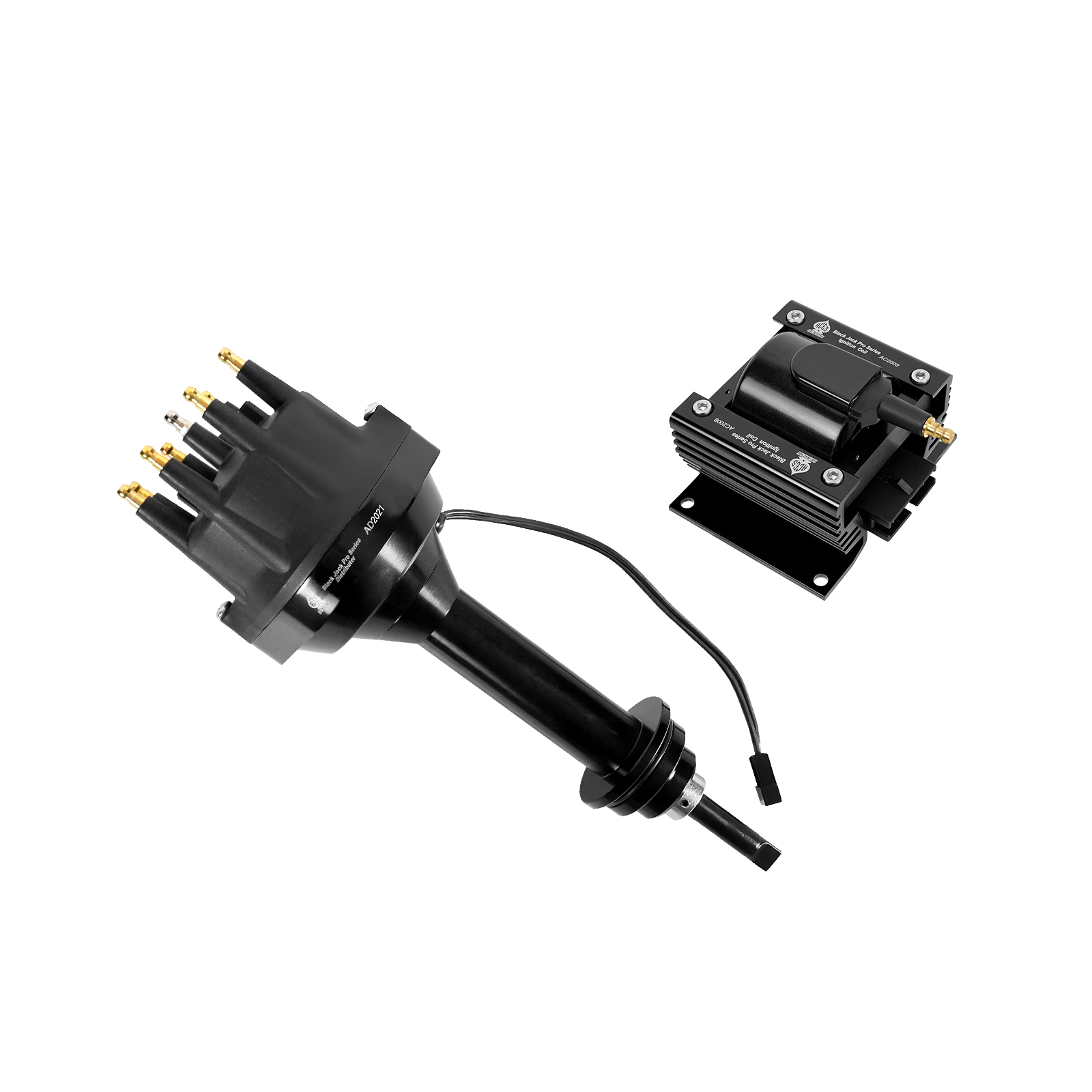 Black Jack Pro Distributor + Coil