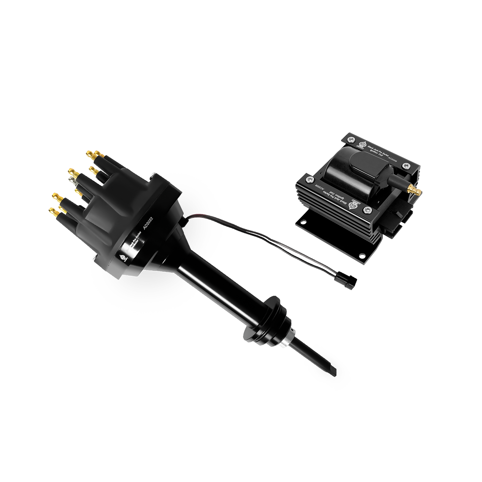 Black Jack Pro Distributor + Coil