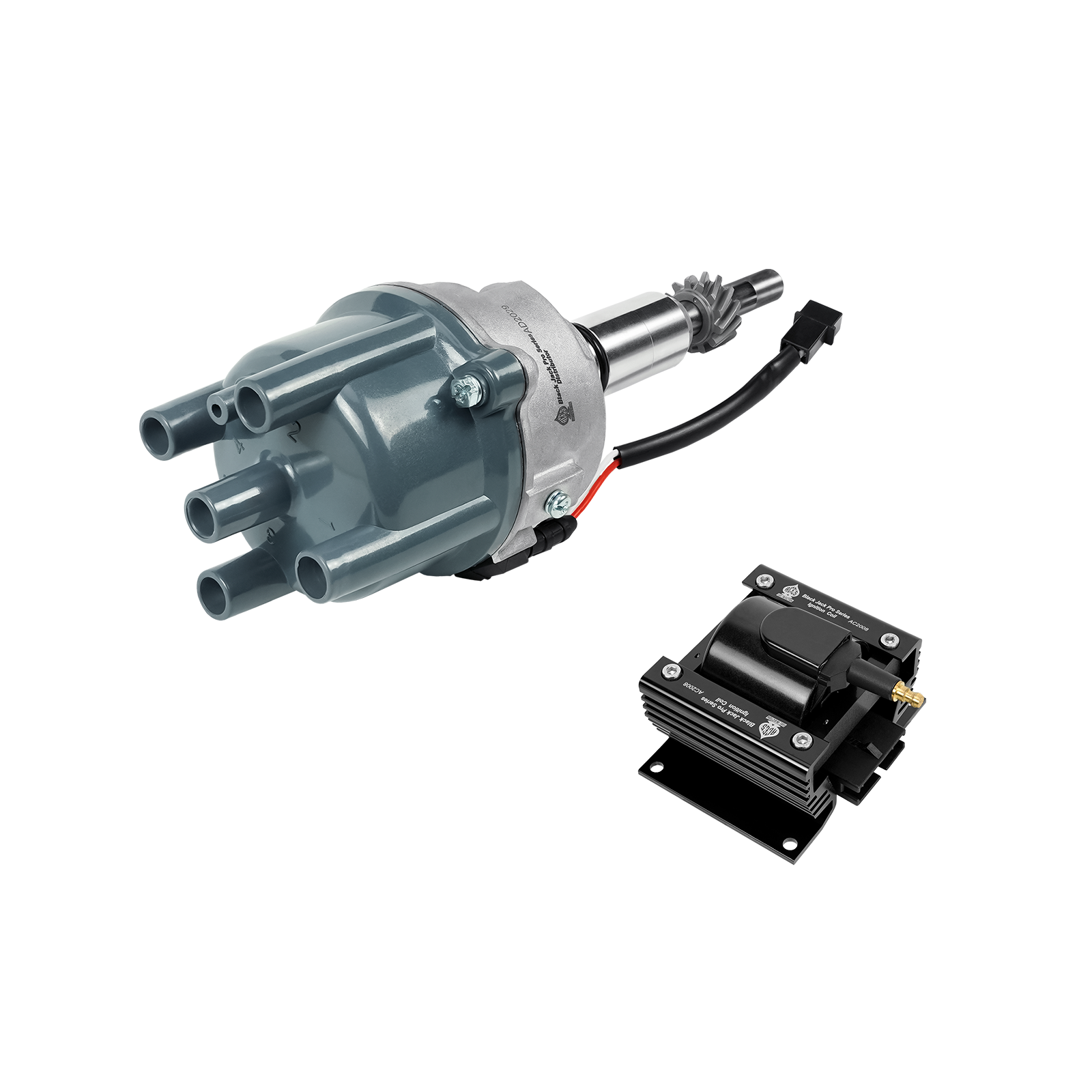 Black Jack Pro Distributor + Coil