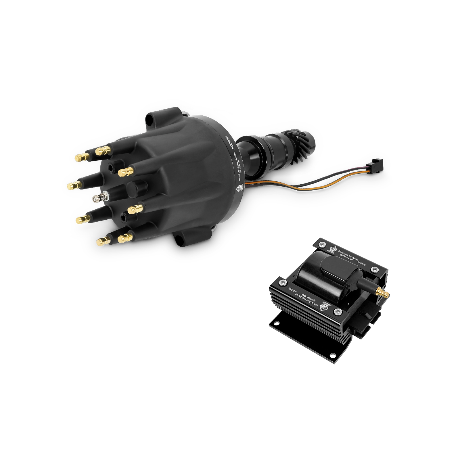 Black Jack Pro Distributor + Coil