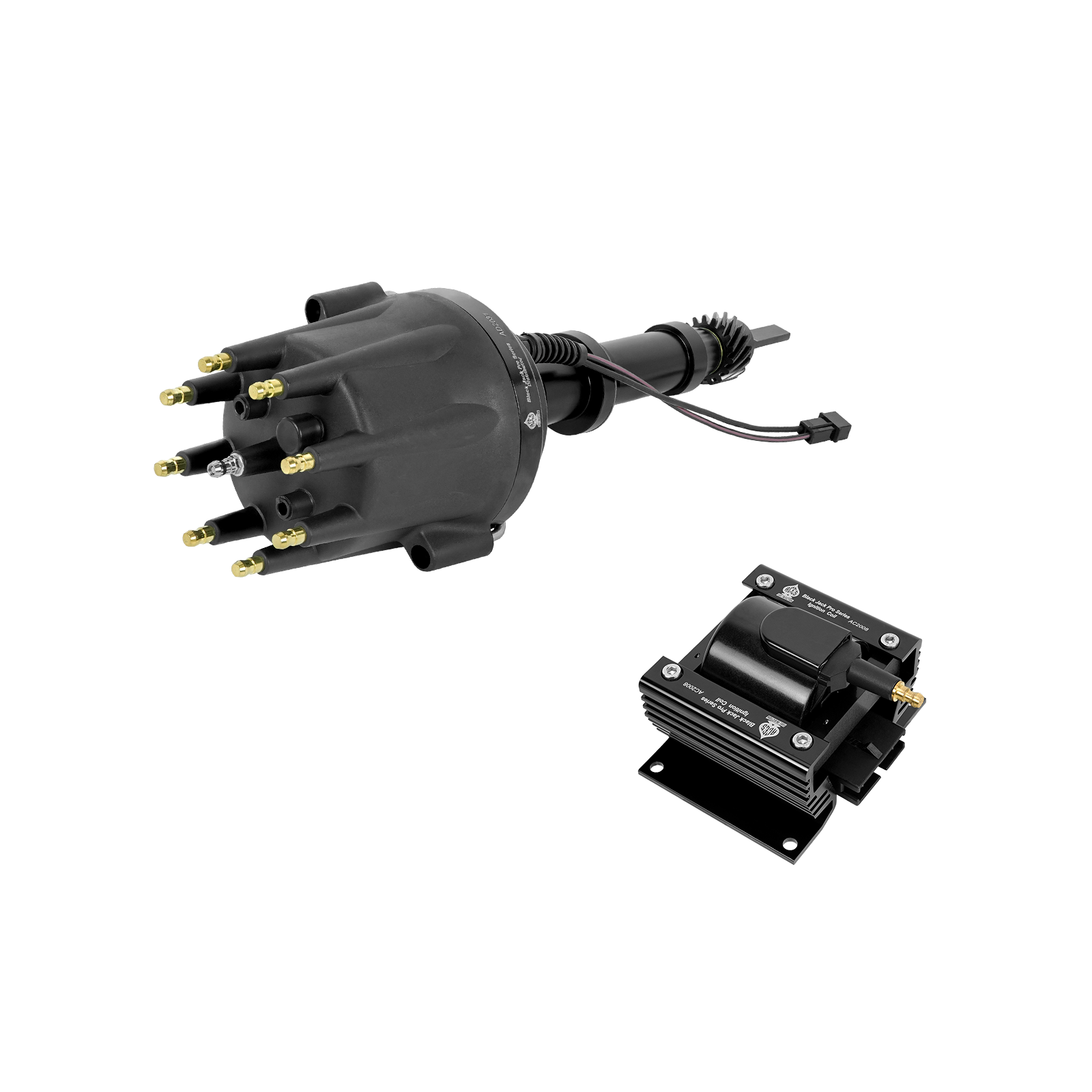Black Jack Pro Distributor + Coil
