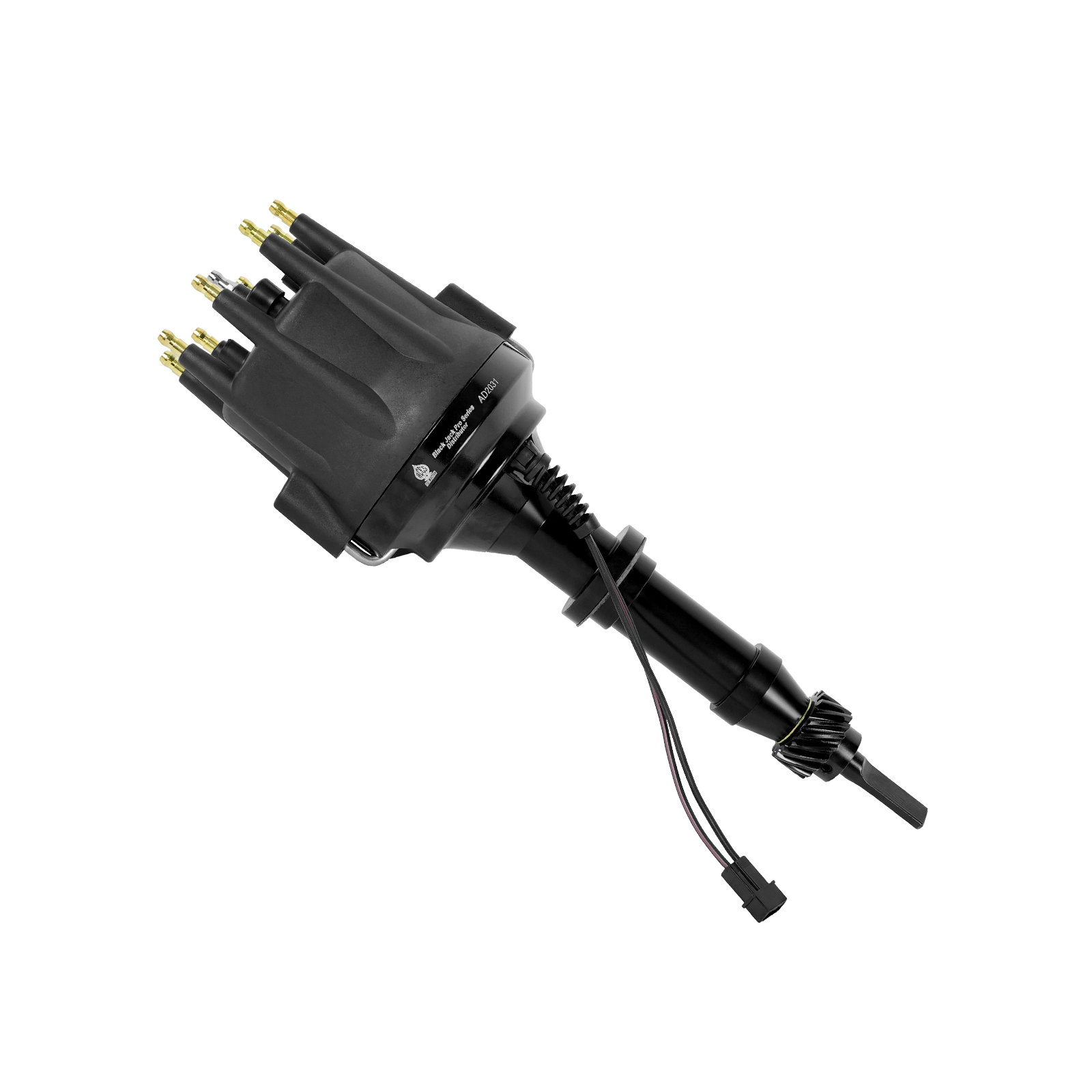 Black Jack Pro Distributor + Coil