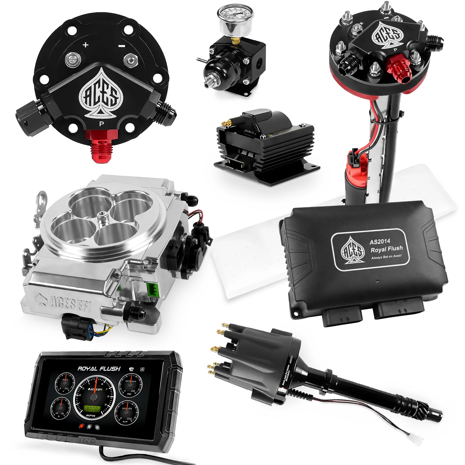 Kits maestros de Royal Flush (pulidos)