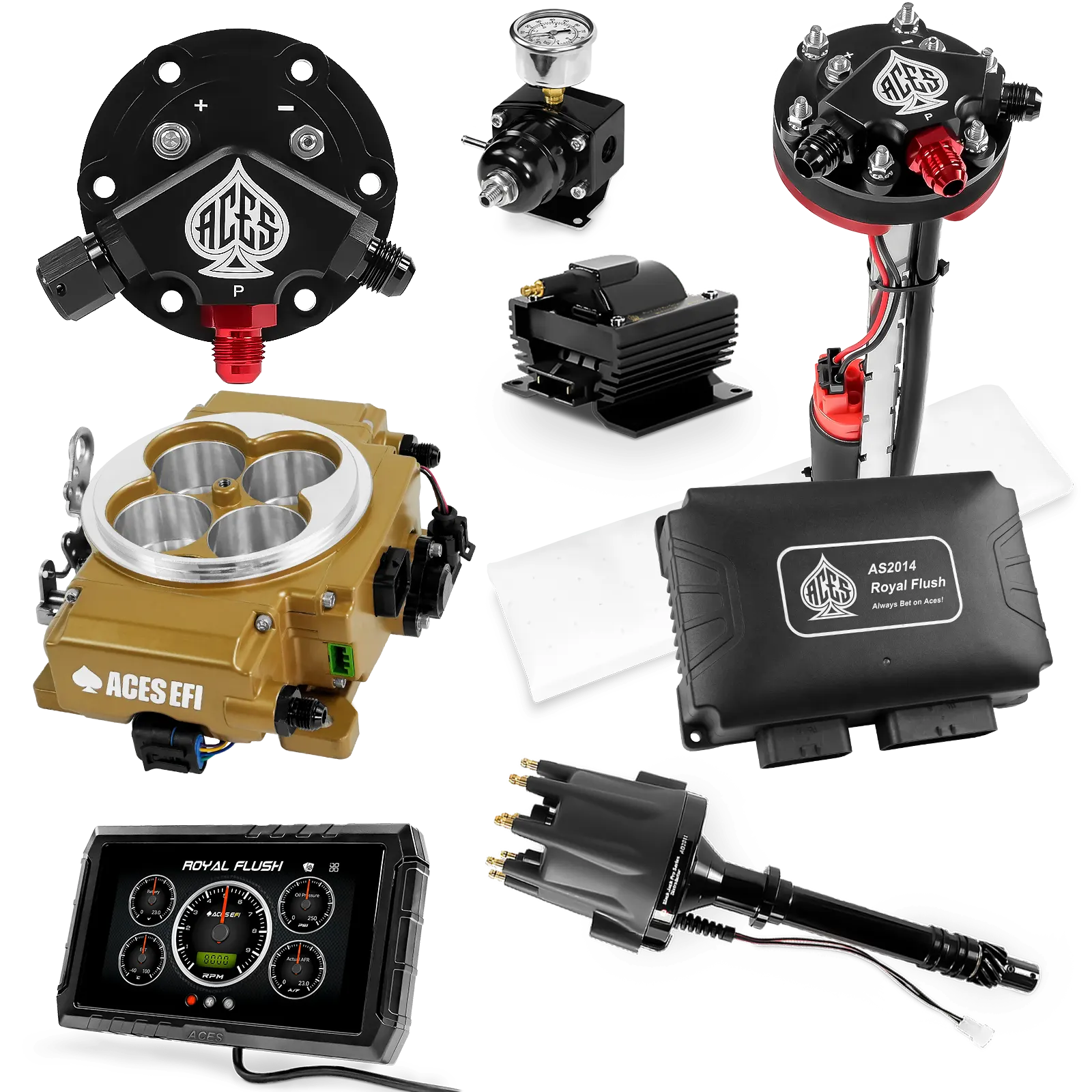 Kits maestros de Royal Flush (Oro)