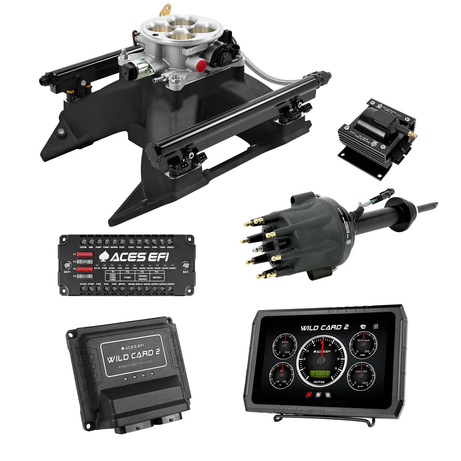 Wild Card 2 EFI - Top End Kits