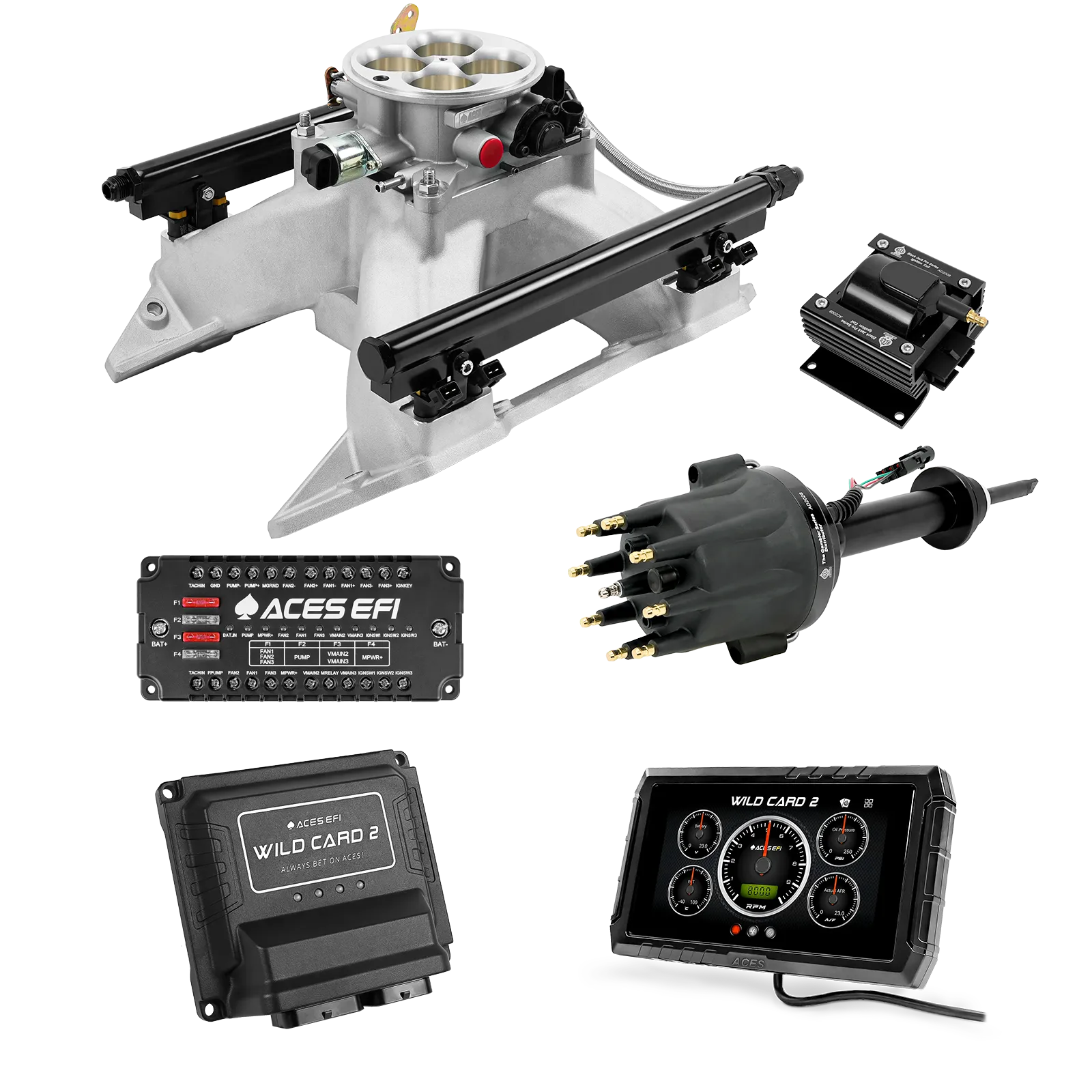 Wild Card 2 EFI - Top End Kits