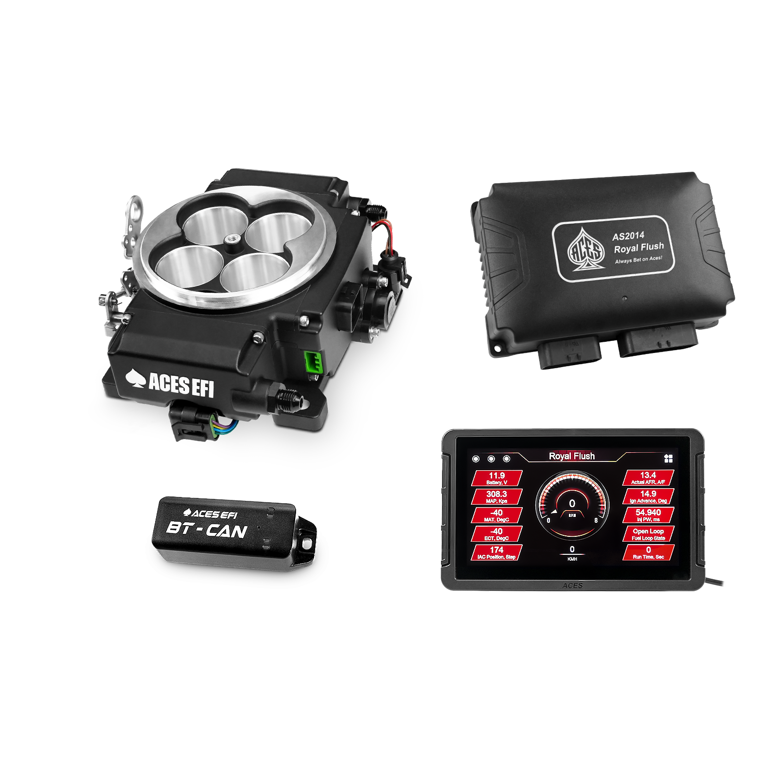 Royal Flush EFI/CDI