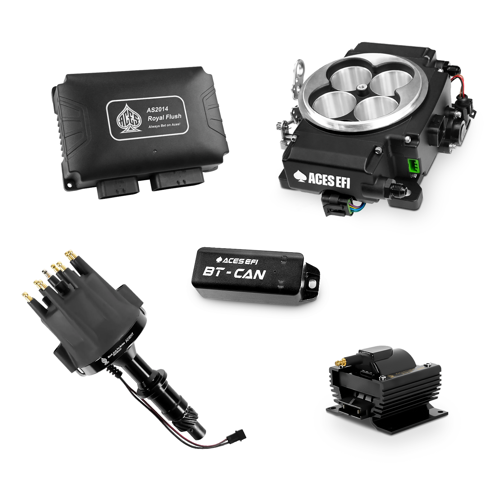 Royal Flush Top End Kits