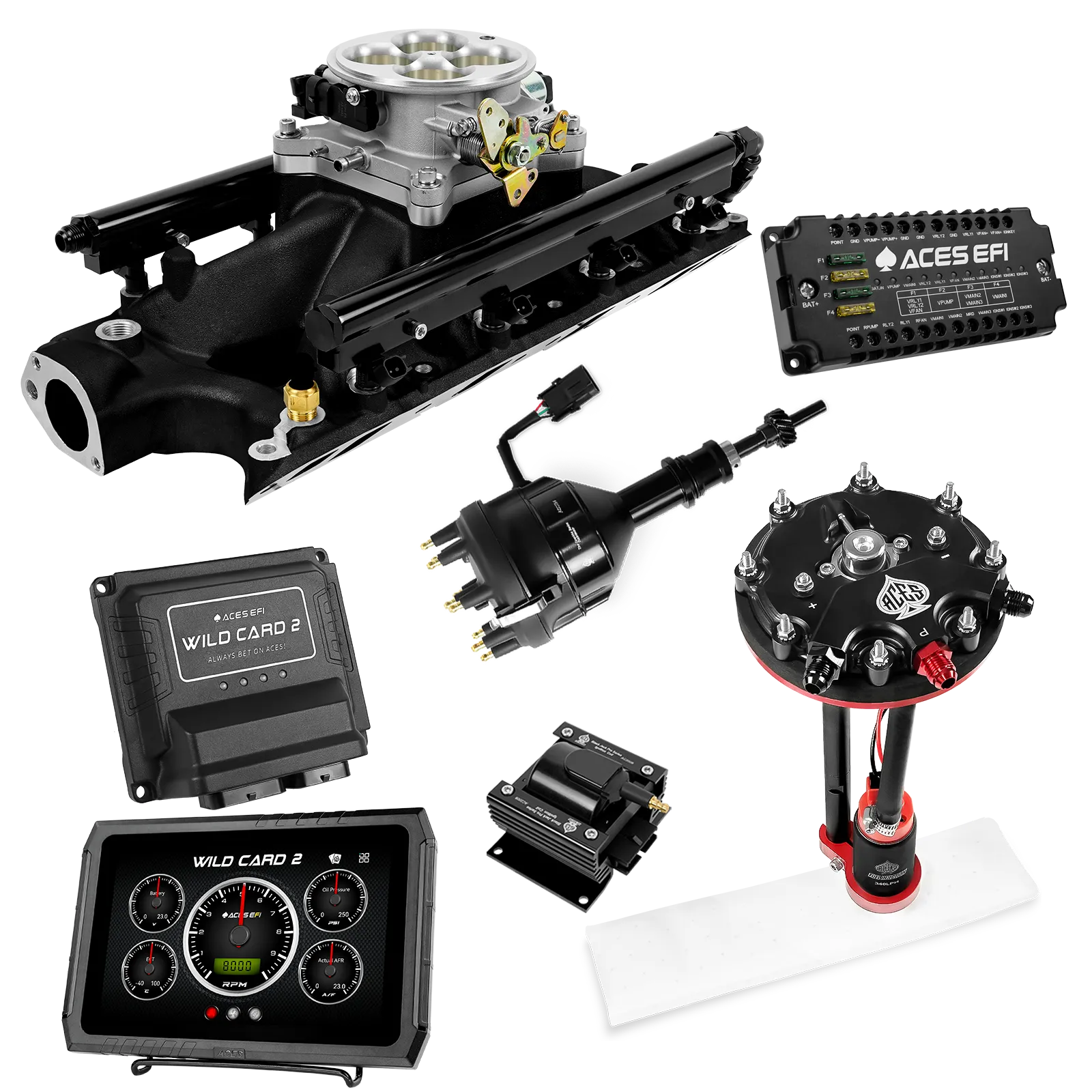 Kits maestros EFI secuenciales Wild Card 2 (500 CV)