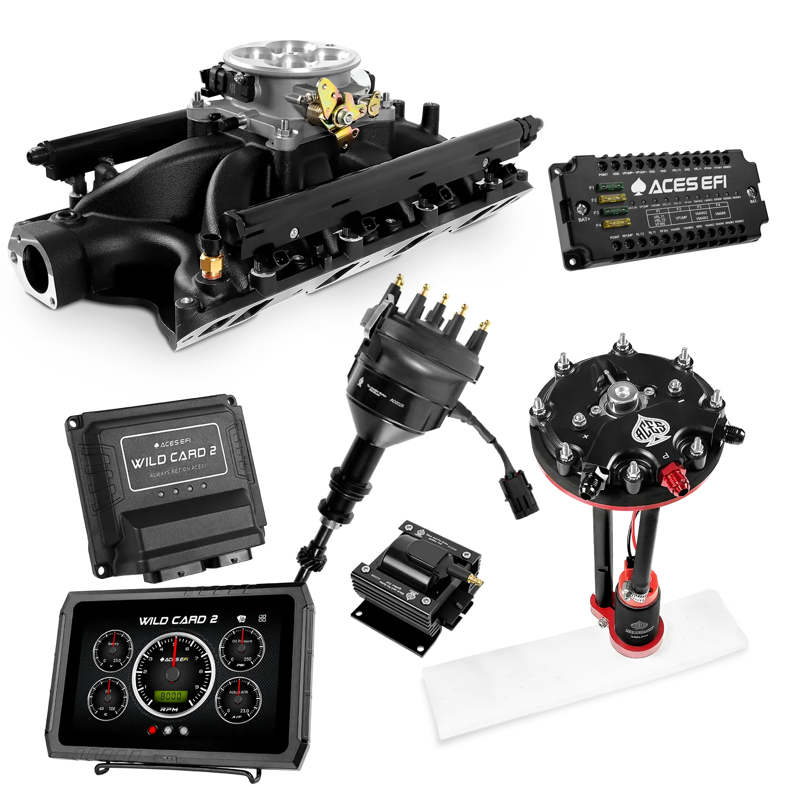 Kits maestros EFI secuenciales Wild Card 2 (500 CV)
