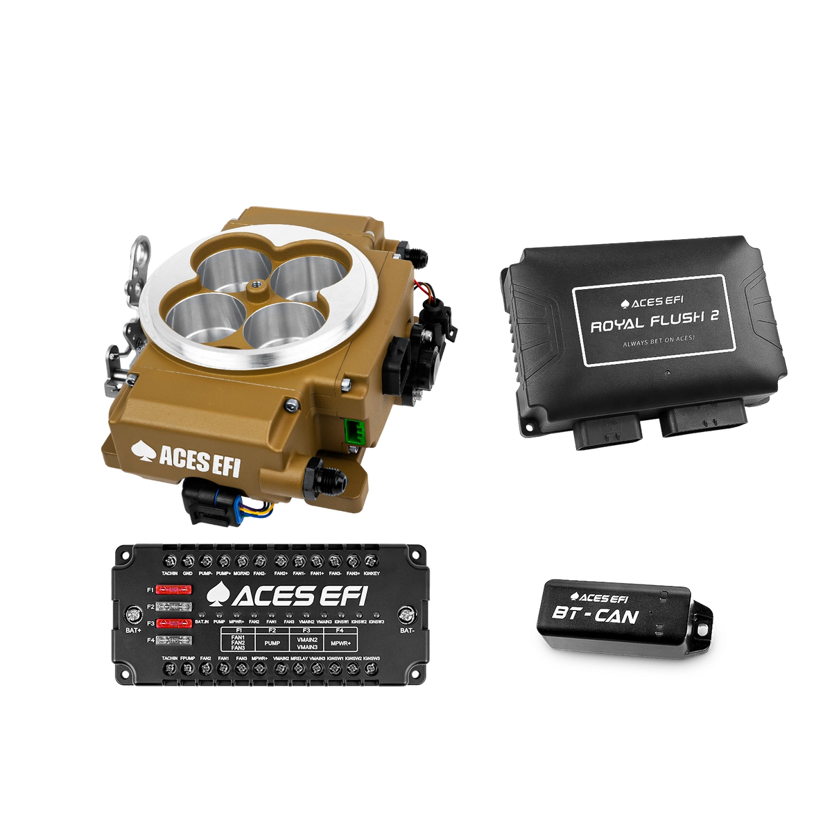Royal Flush 2 EFI/CDI