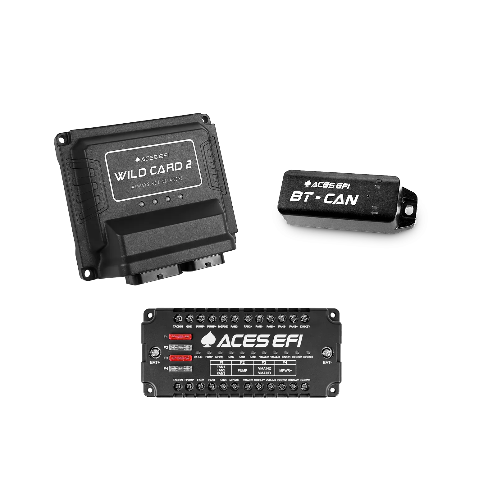 Wild Card 2 EFI (Standalone)