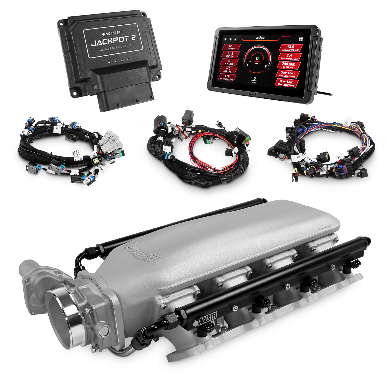 Jackpot LS EFI System - Top End Kit (800 HP)