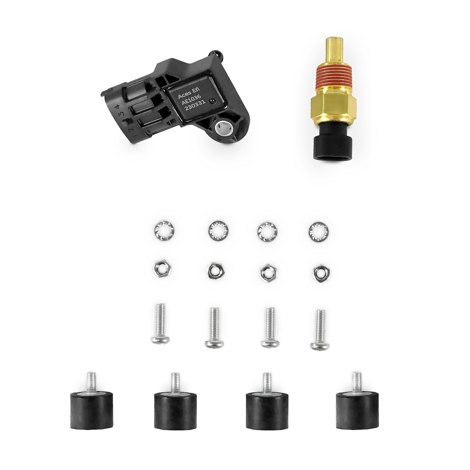 Full House Pro 8 Channel EFI/CDI TBI System