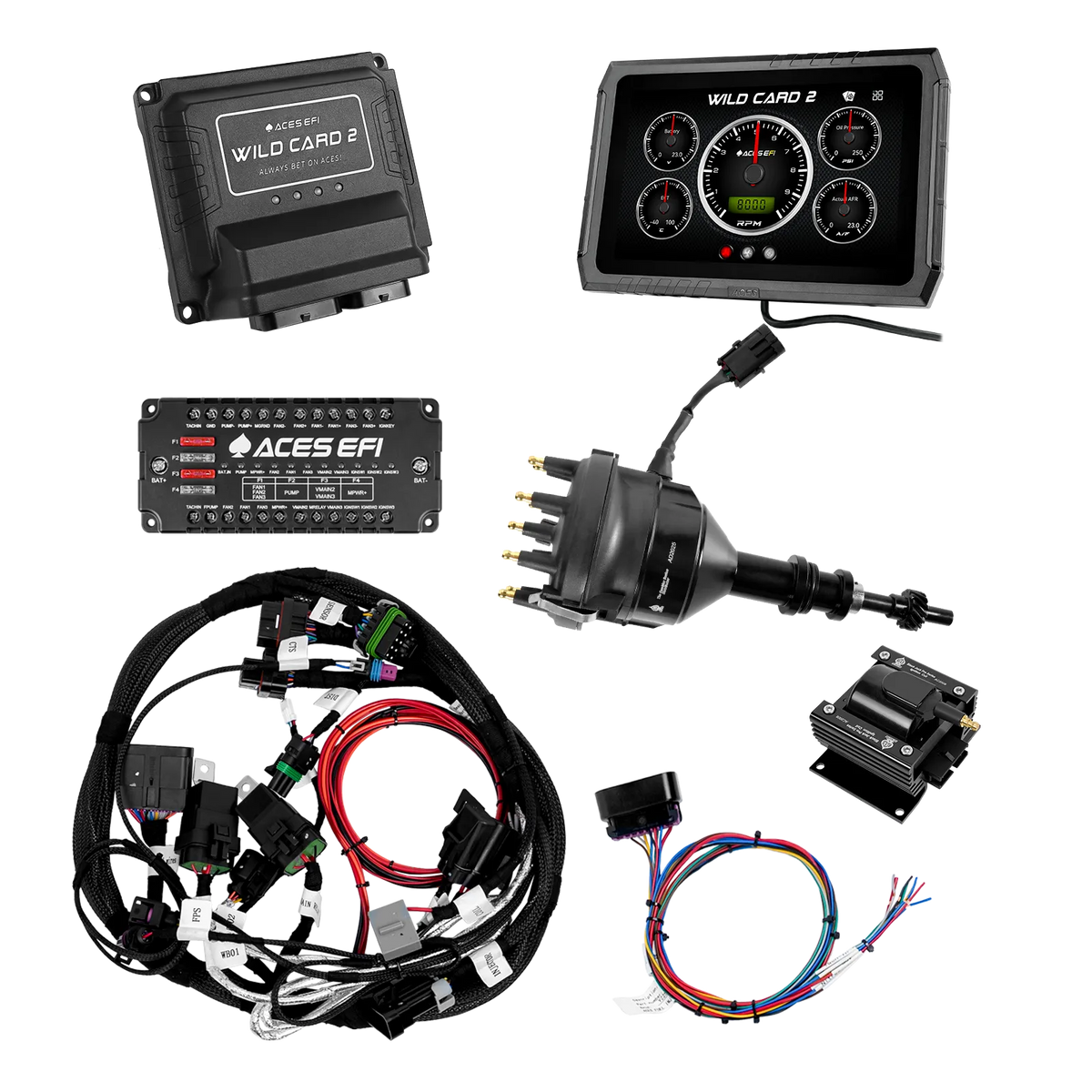 Wild Card 2 Sequential EFI (Standalone)