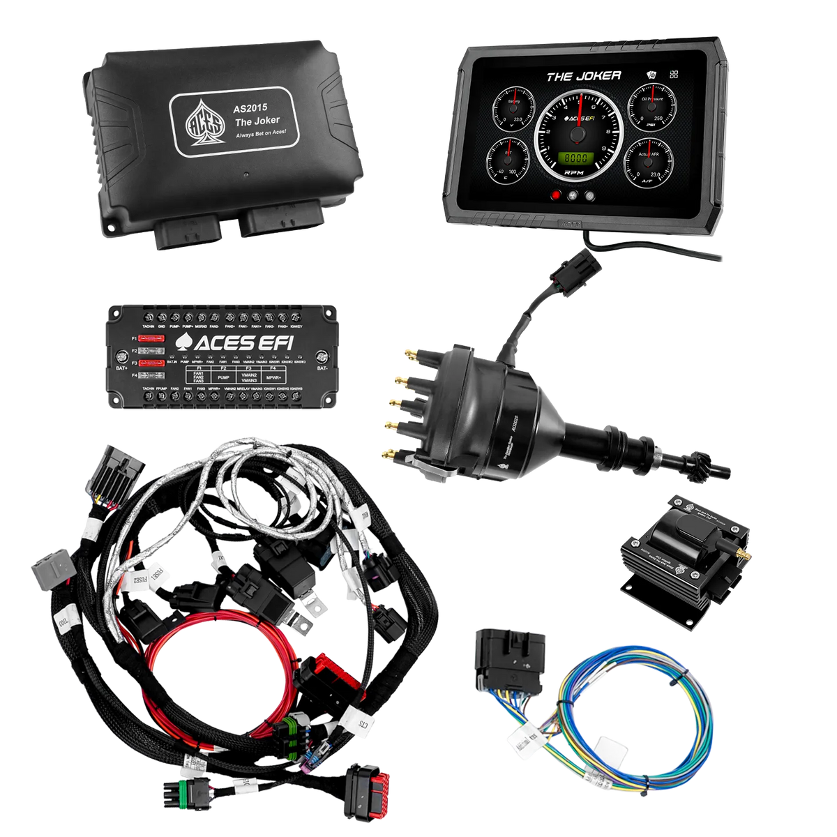 Joker EFI (Autoconclusivo)