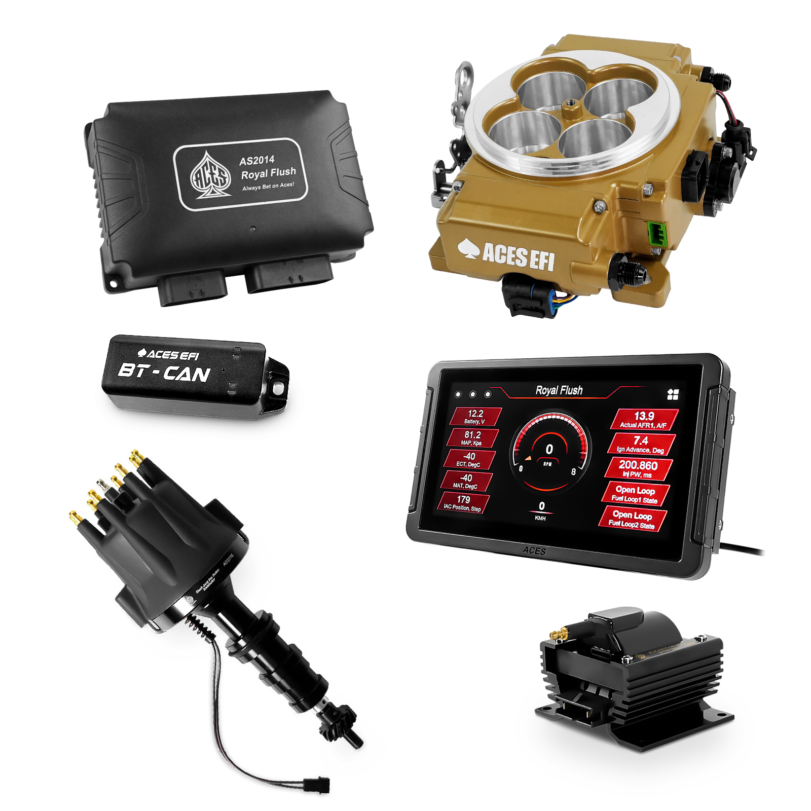 Royal Flush Top End Kits