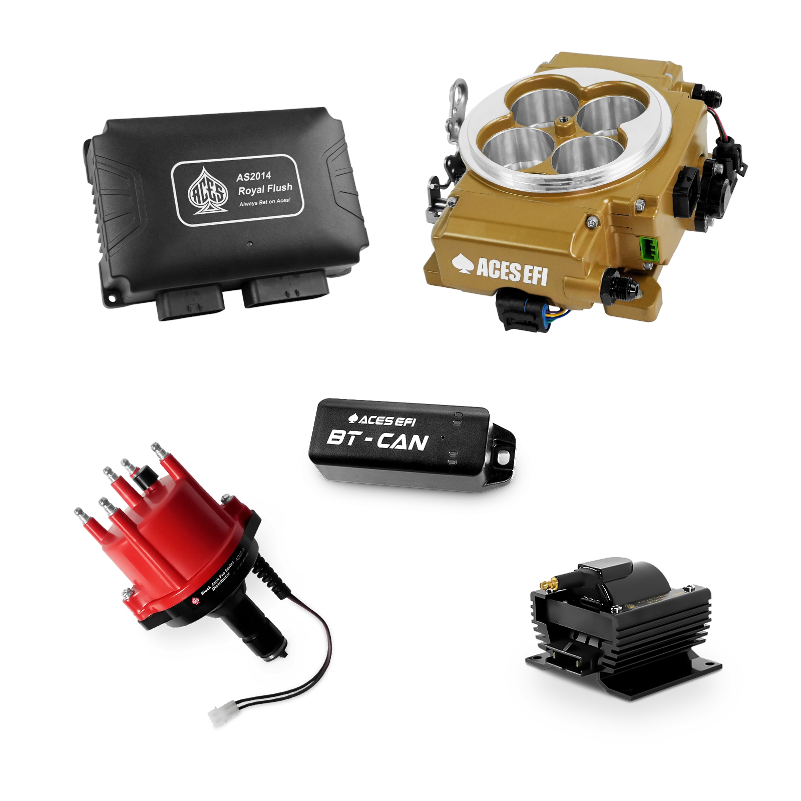 Royal Flush Top End Kits