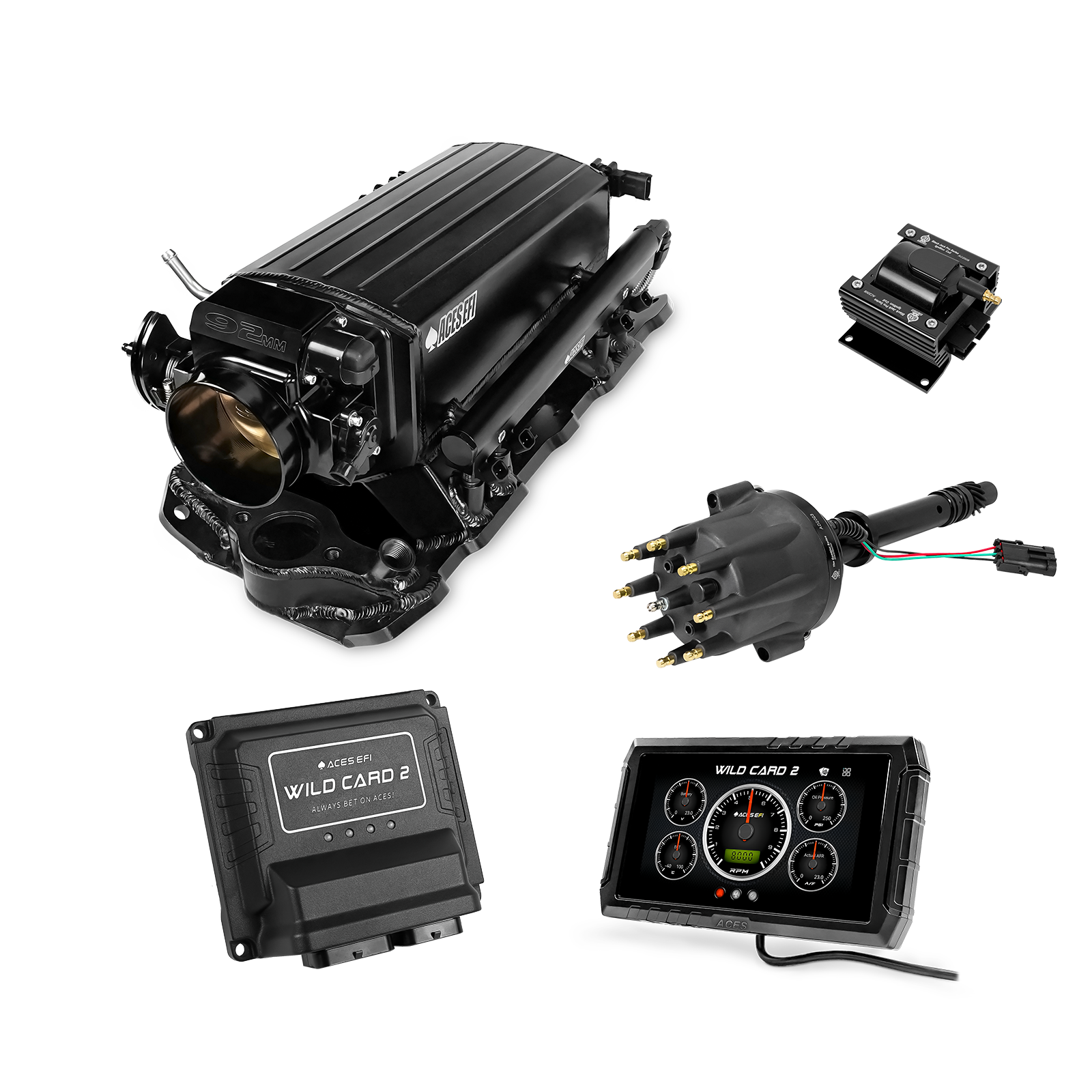 Wild Card EFI - Top End Kits