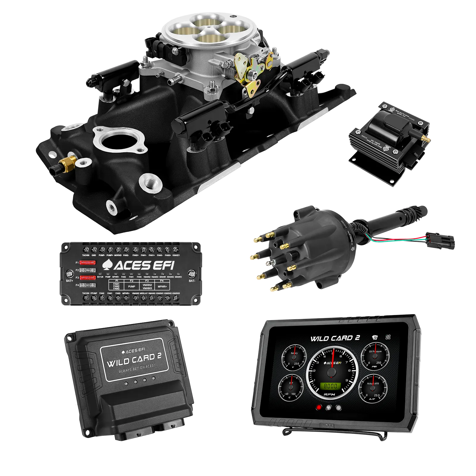 Wild Card 2 EFI - Top End Kits