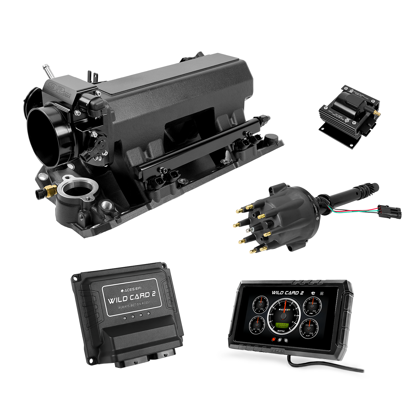 Wild Card EFI - Top End Kits