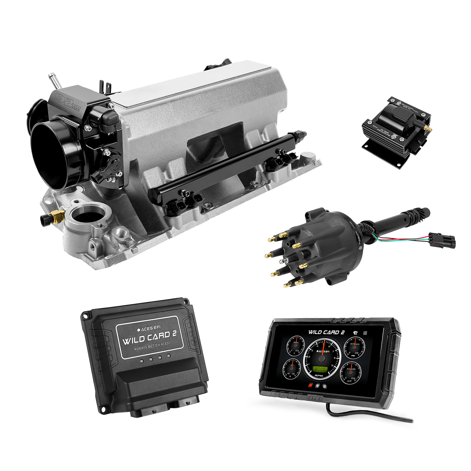 Wild Card EFI - Top End Kits