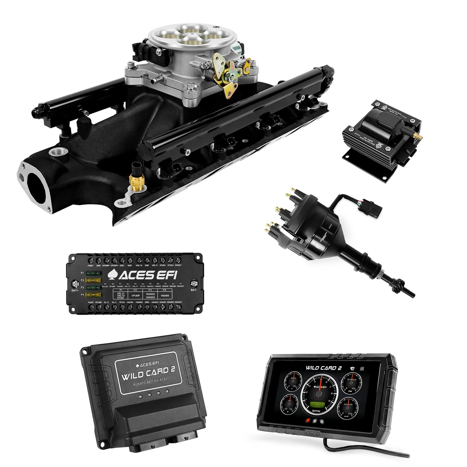 Kits de gama alta Wild Card 2 EFI