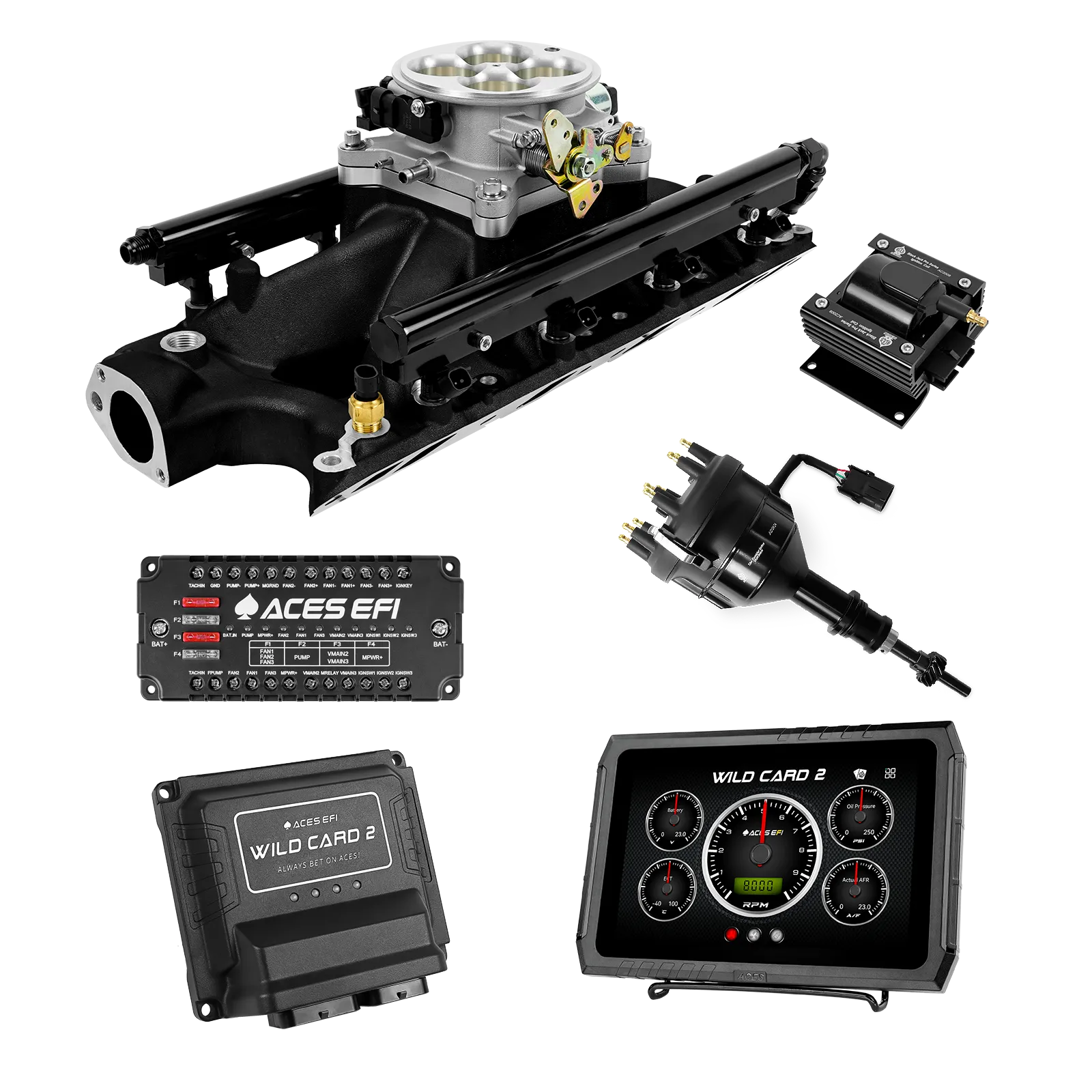 Wild Card 2 EFI - Top End Kits