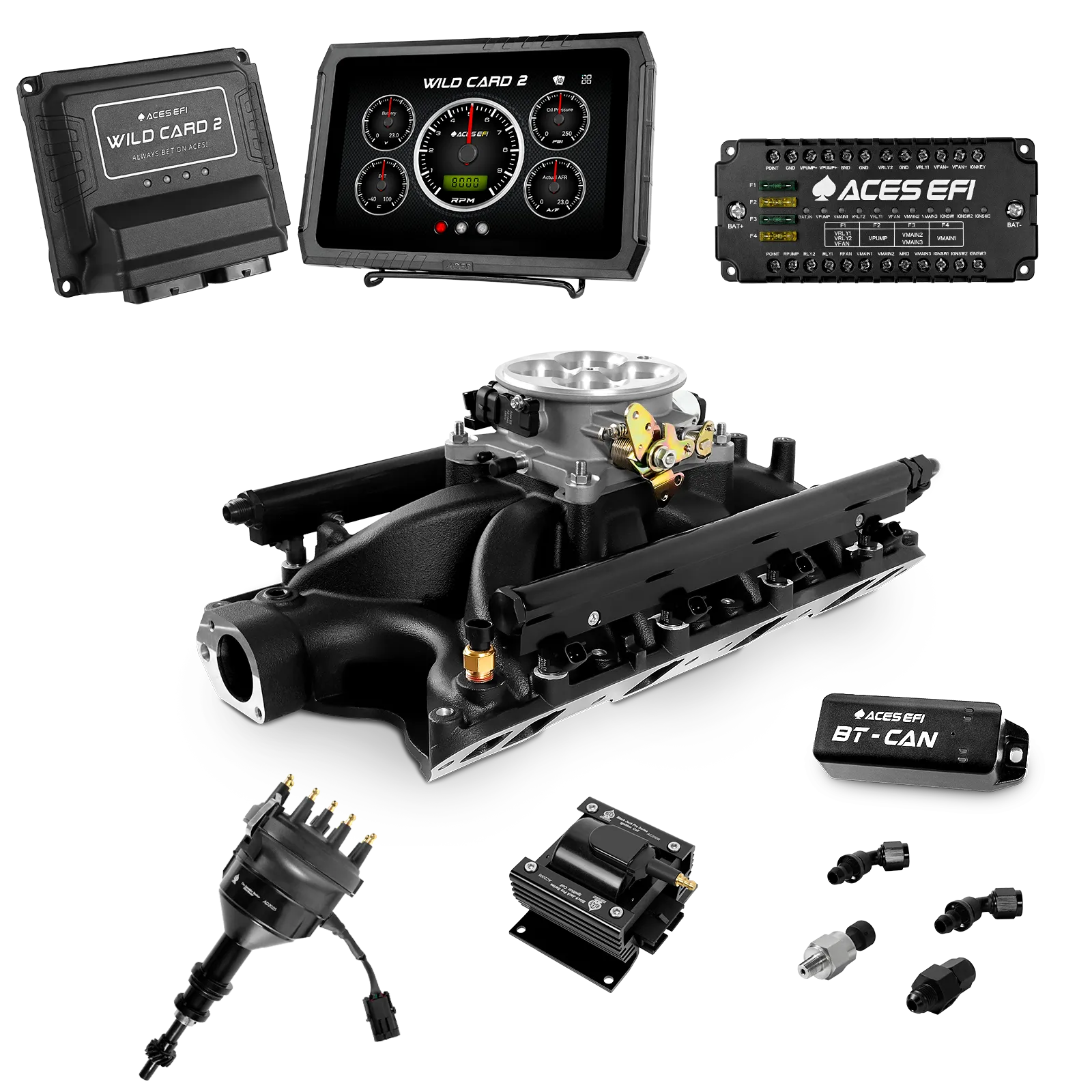 Wild Card 2 EFI Super Kit